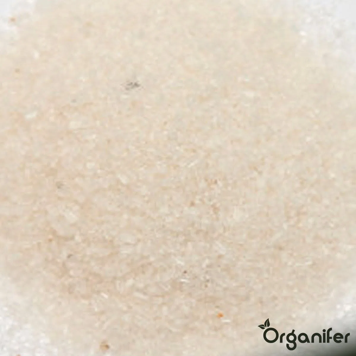 Engrais Au Sulfate D'Ammonium - 20 Kg Pour 400 M2 - Azote Minéral Et Soufre - Action Rapide - Idéal Pour Les Pelouses, Les Légumes, Les Fruits Et Les Plantes Ornementales - Organifer