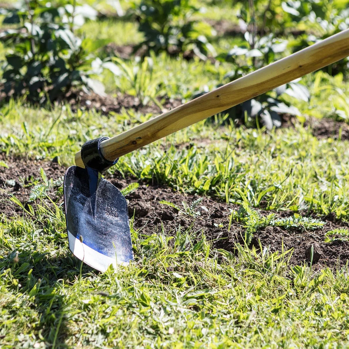 Harbour Housewares Houe à creuser Azada avec manche en bois - 110 cm - Houe de jardin pleine grandeur, outils de jardinage pour le jardinage, creuser le sol, le désherbage, l'aménagement | Acier forgé, manche bois, 110 cm, lame affûtée, équilibrée, travau