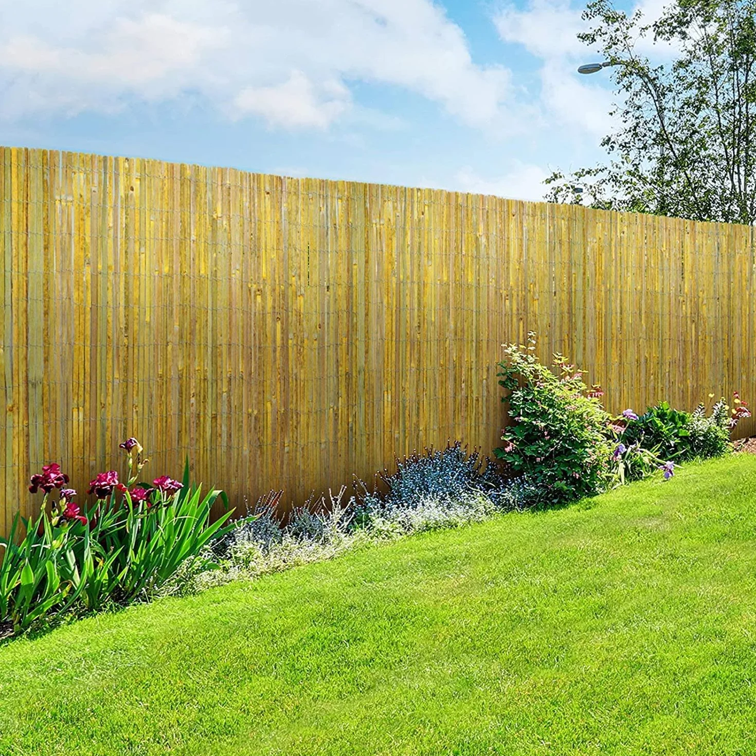 Floordirekt | Brasil | Canisse en Bambou Fendu Naturel | Clôture en Bambou Pare-Vue - Coupe-Vent Naturel | Qualité supérieure | Idéale pour Jardin, Balcon et terrasse | 150 x 300 cm
