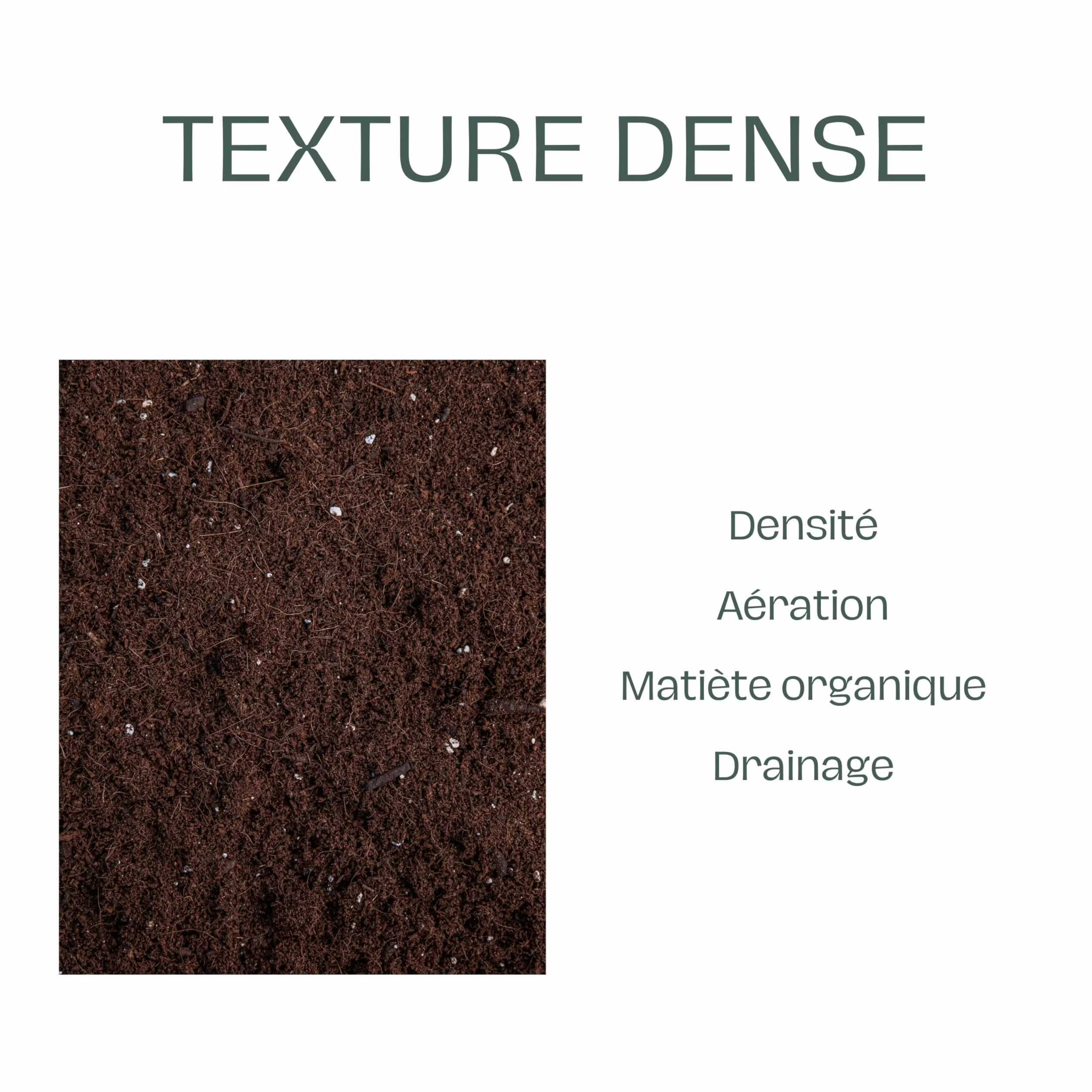 La Plaine Chassart - Terreau Universel 50L - Toutes Les Variétés de Plantes Intérieur et Extérieur - Jardin, Terrasse, Balcon, Potager - Palmier, Plantes Grasses, Semis, Bonsai, Légumes, Cactus, ...