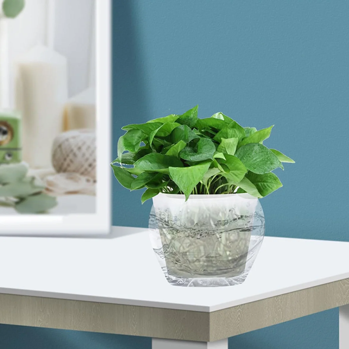 DOITOOL Lot de 2 Jardinières à Orchidées Transparentes en Plastique avec Trous de Drainage Ø27 cm
