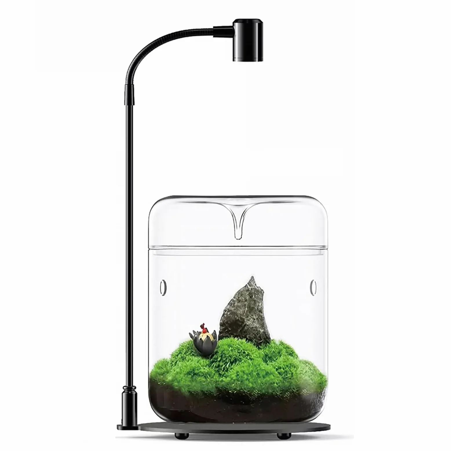 Terrarium en verre 12 x 17,5 cm pour plantes succulentes Plantes aériennes Fougère Mousse Micro paysage Vase pour la décoration de la maison Bureau Plateau de table Conteneur avec couvercle intérieur