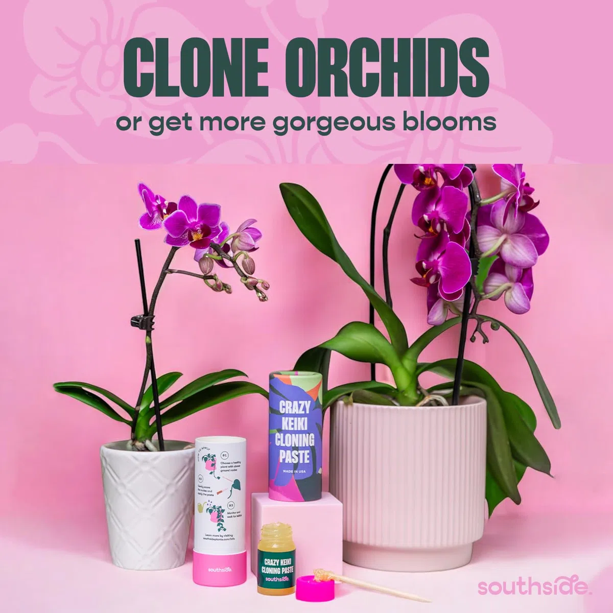 Pâte clonage orchidée Cultivez vos Keikis Phalaenopsis rapidement - Cytokinine et vitamines B1 activent les bourgeons afin d’agrandir collection de plantes - Utilisable sur plantes d’intérieur