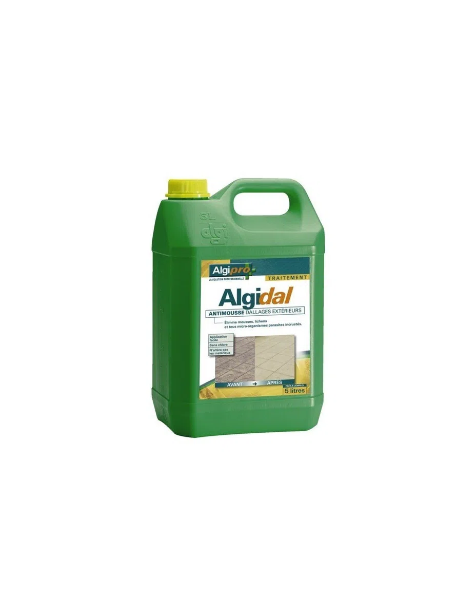 Algidal antimouss spécial dallages extérieurs 5L