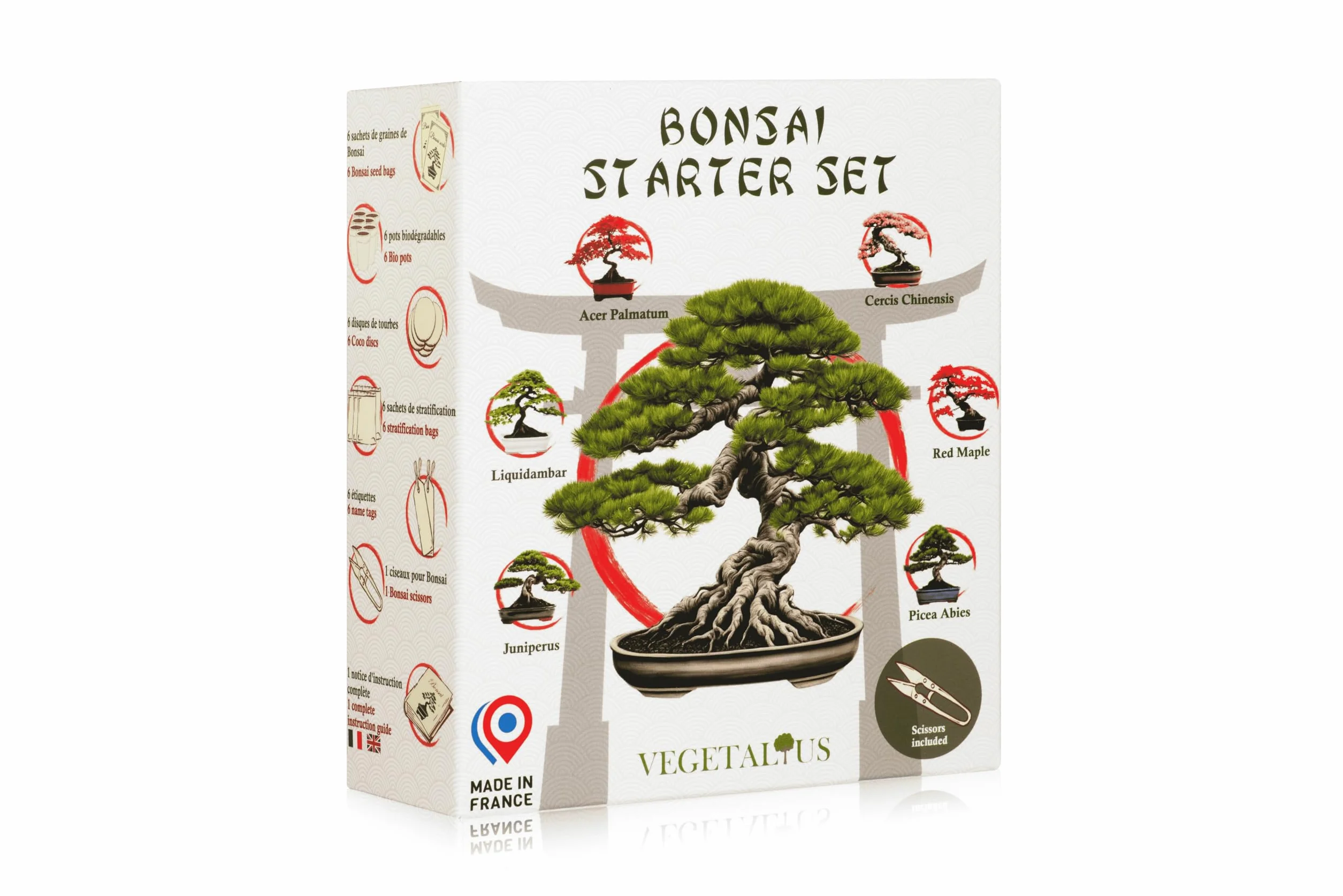 Kit complet de 6 bonsaïs avec graines et accessoires Fabriqué en France