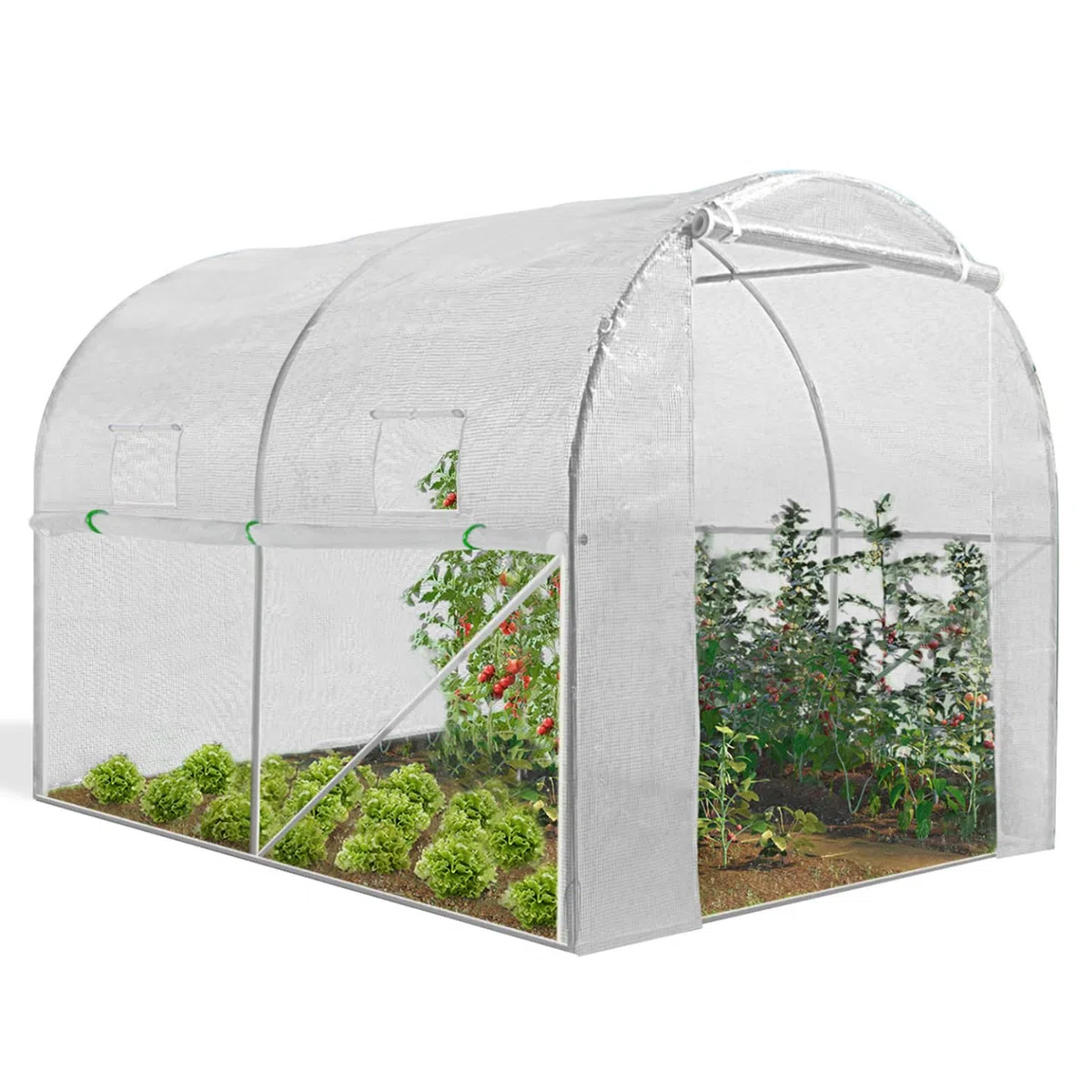 IDMarket - Serre Tunnel de Jardin 4 Saisons 6M² Blanche Gamme maraîchère Roma 2x3M