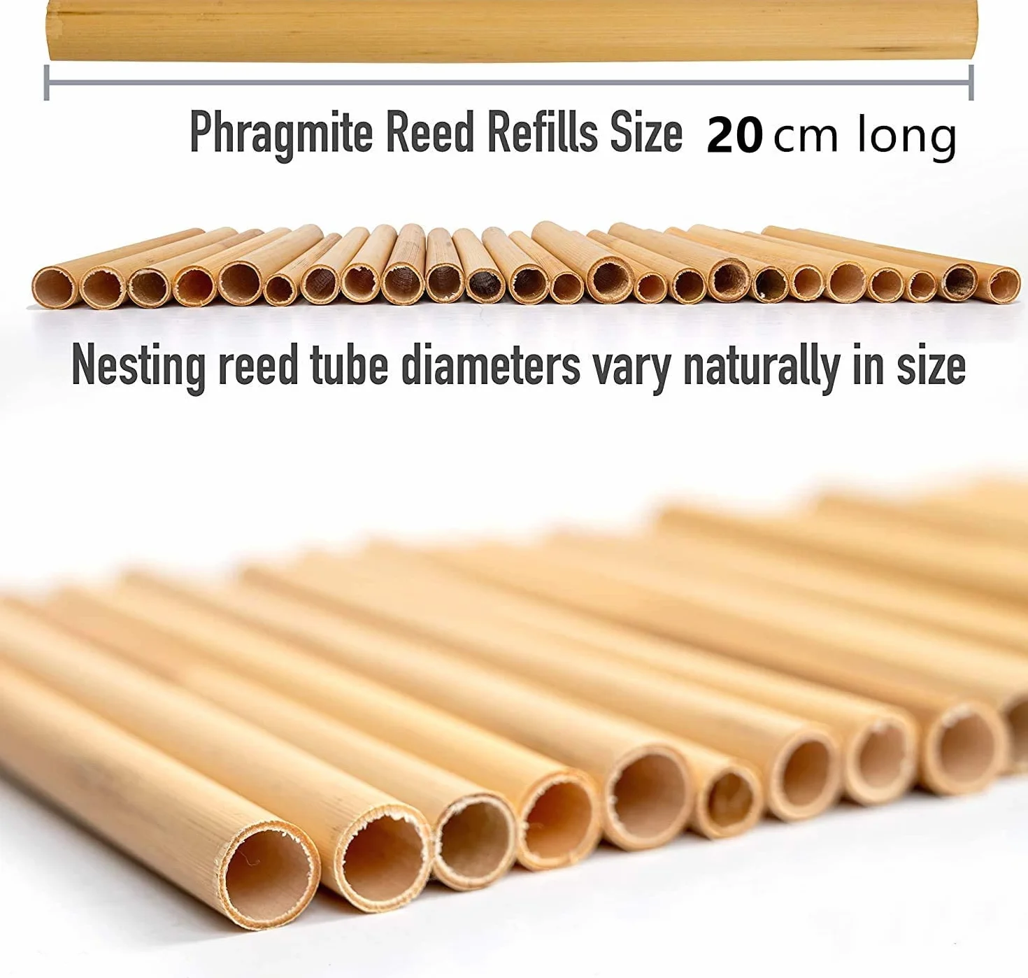 Lot de 100 tubes de roseau 15 cm pour hôtel à insectes imperméable