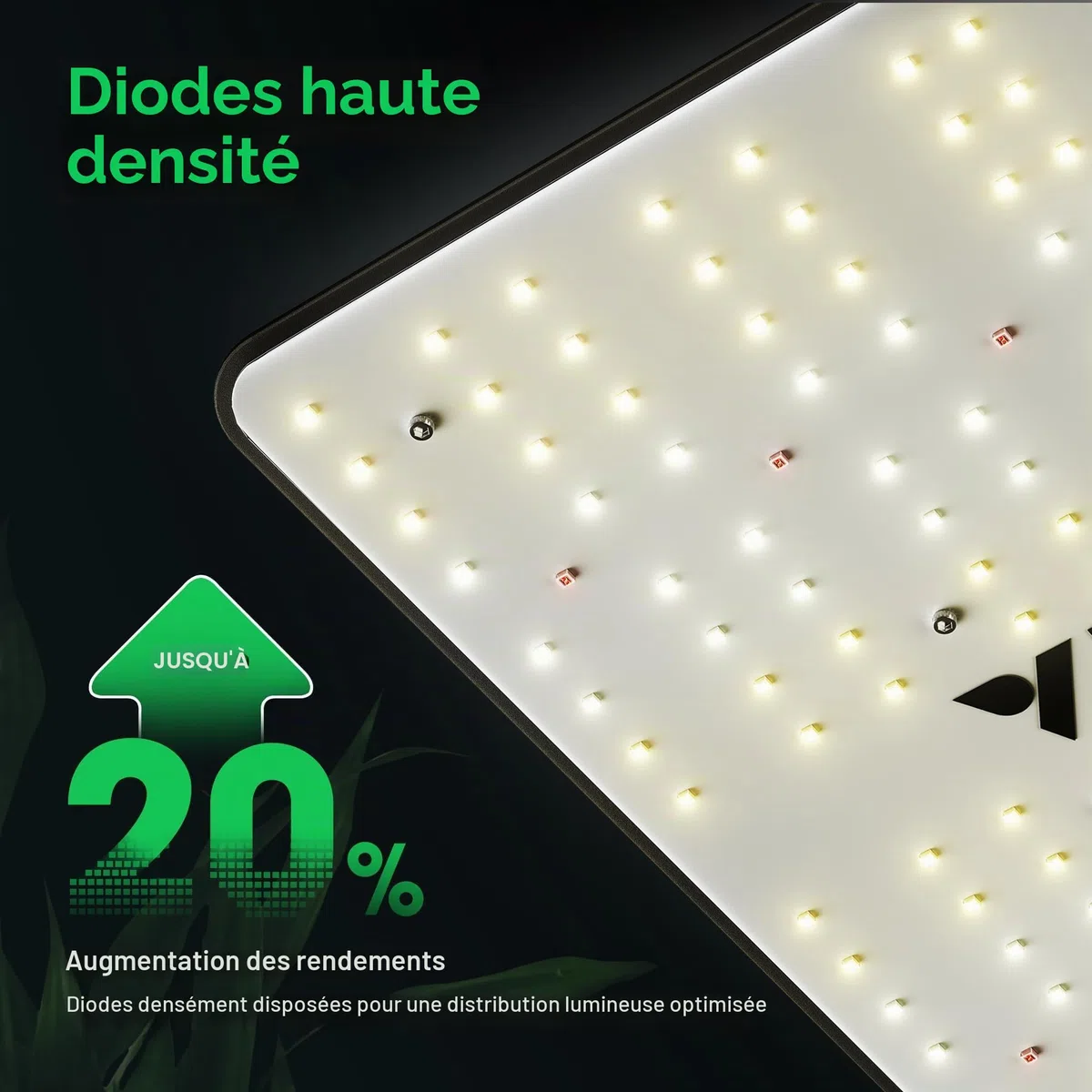 VIVOSUN VS1000 Lampe de Croissance LED avec diodes Samsung LM301 et Pilote Sosen à intensité Variable Spectre Complet pour Plantes d'intérieur semis légumes et Fleurs pour Tente de Culture 2x2/3x3