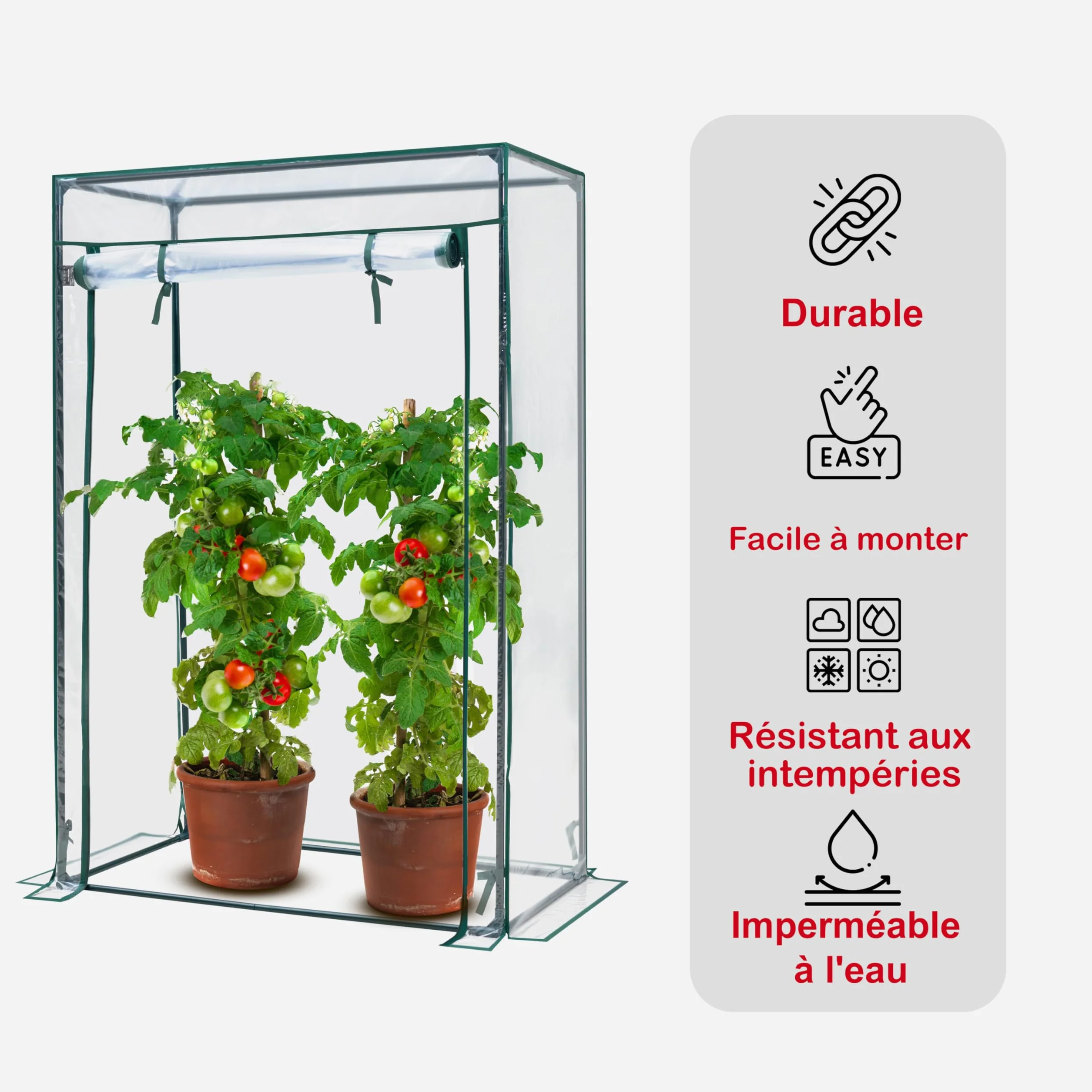 KANWOD Serre de Jardin 150×100×50 cm Film 140 g/m² Porte Enroulable Transparent