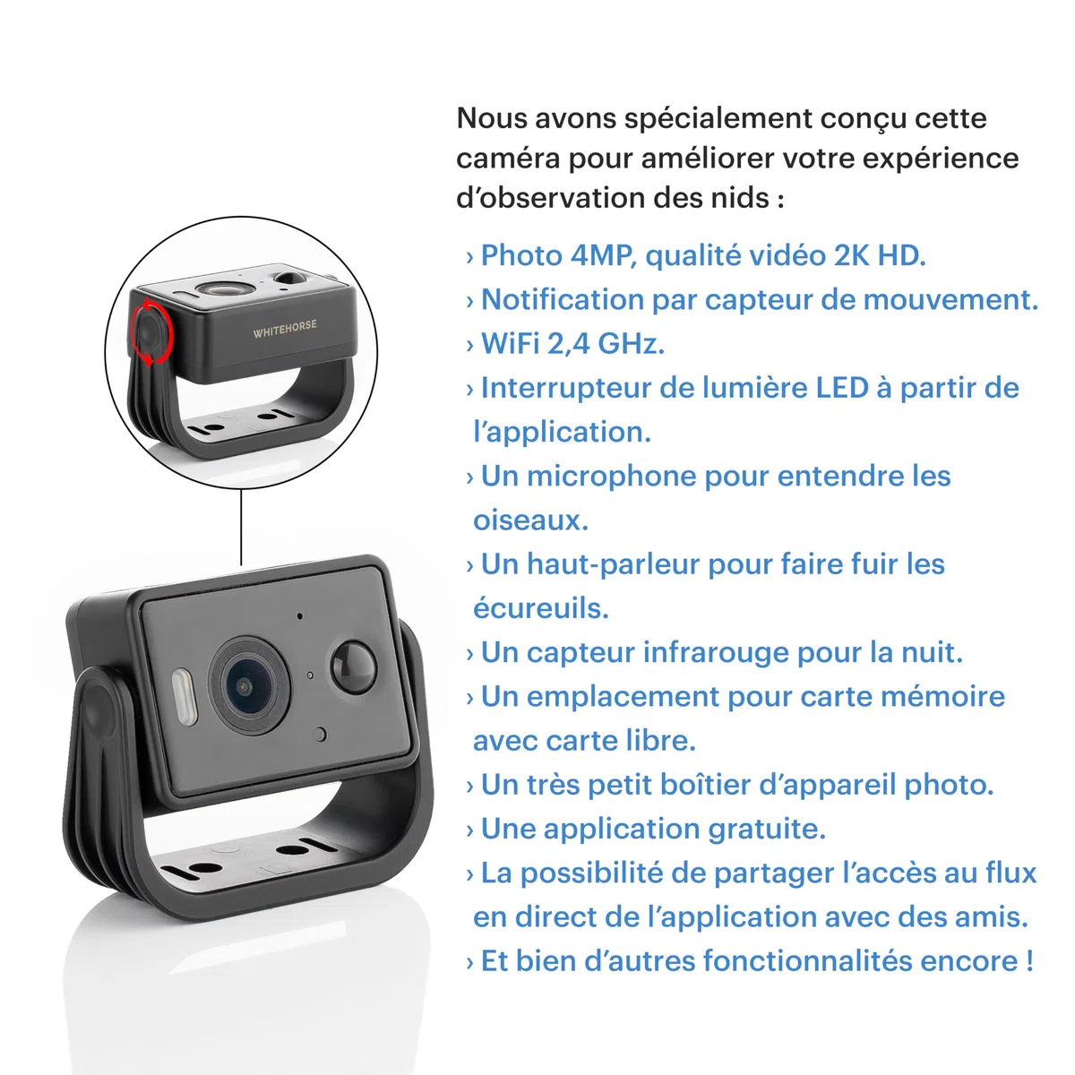 WHITEHORSE Caméra pour nichoirs à oiseaux - Sans fil et alimentée par énergie solaire -Regardez et enregistrez depuis votre téléphone (application gratuite) - Soyez averti lorsqu'un oiseau est détecté