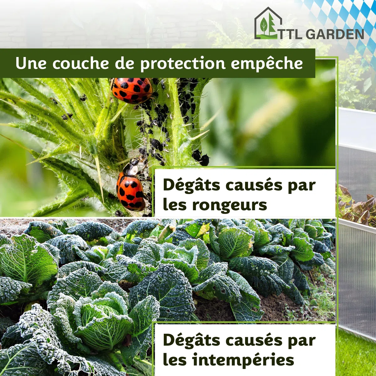 TTL Garden Jardinière en aluminium 40 x 100 x 60 cm – Serre pour plantes, plantation pour légumes, herbes et fleurs, culture et conditions de croissance optimales même en hiver