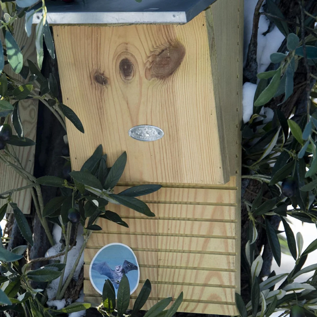 Esschert Design Boîte à Chauve-Souris en Bois Naturel 39 x 18 x 17 cm