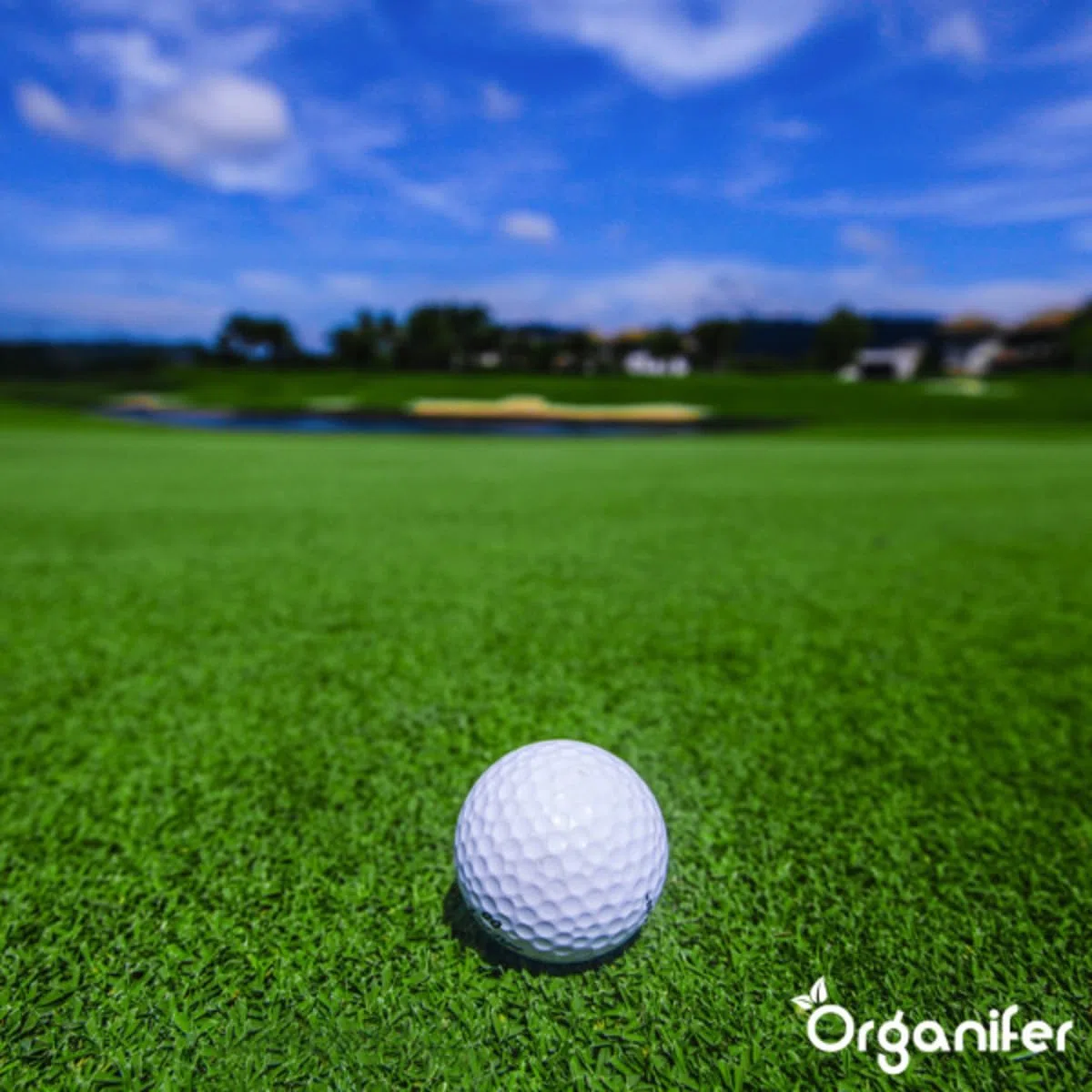 Engrais Pro Turf & Lawn (20 Kg - 665 M2) - Spécialement Pour Grandes Pelouses - Terrains De Sport Et Terrains De Golf - Libération Progressive - Npk+Mg+S (20+5+8 +4 +9) - Organifer