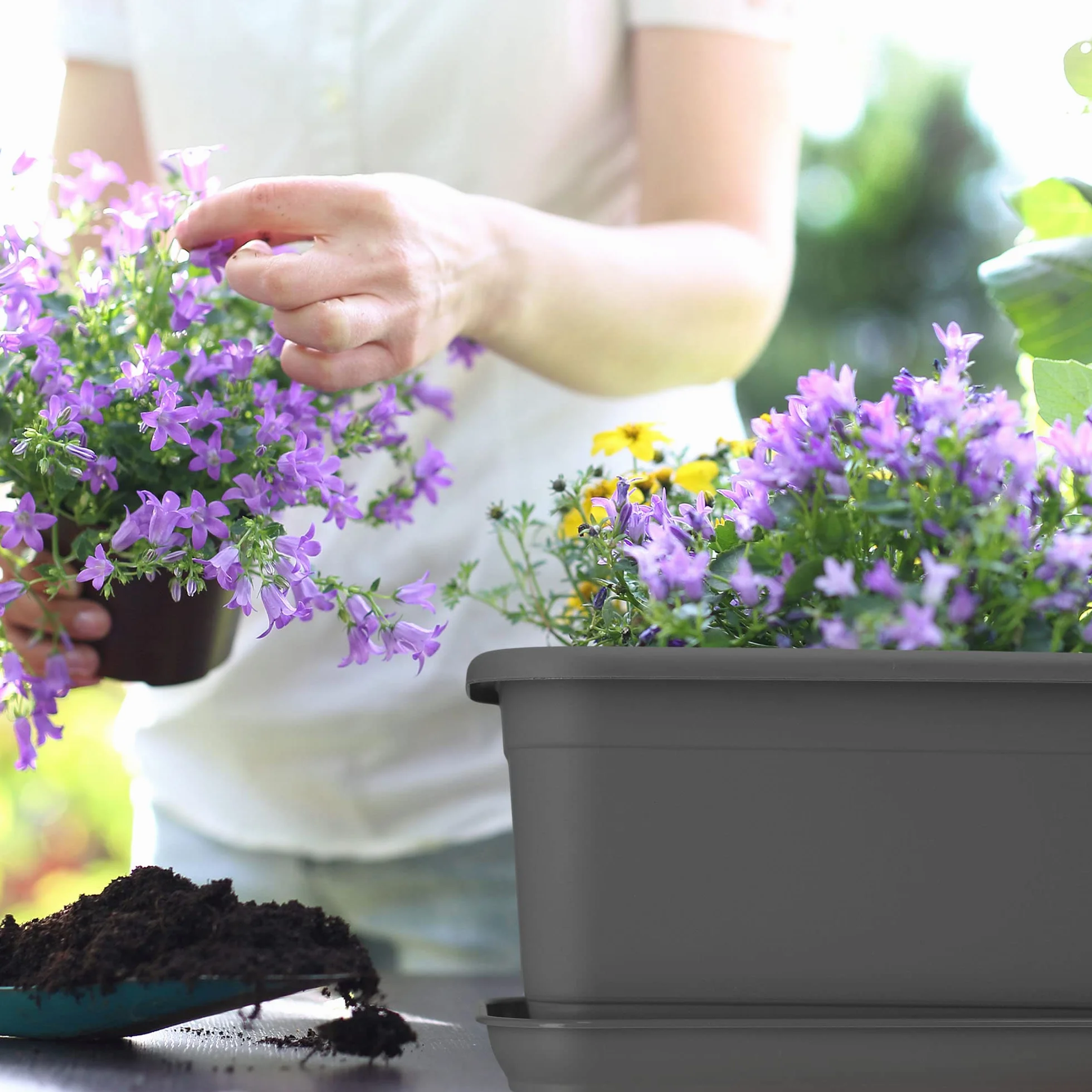 KADAX Jardinière de balcon 40 cm Anthracite avec soucoupe - Pot de fleurs plastique intérieur extérieur