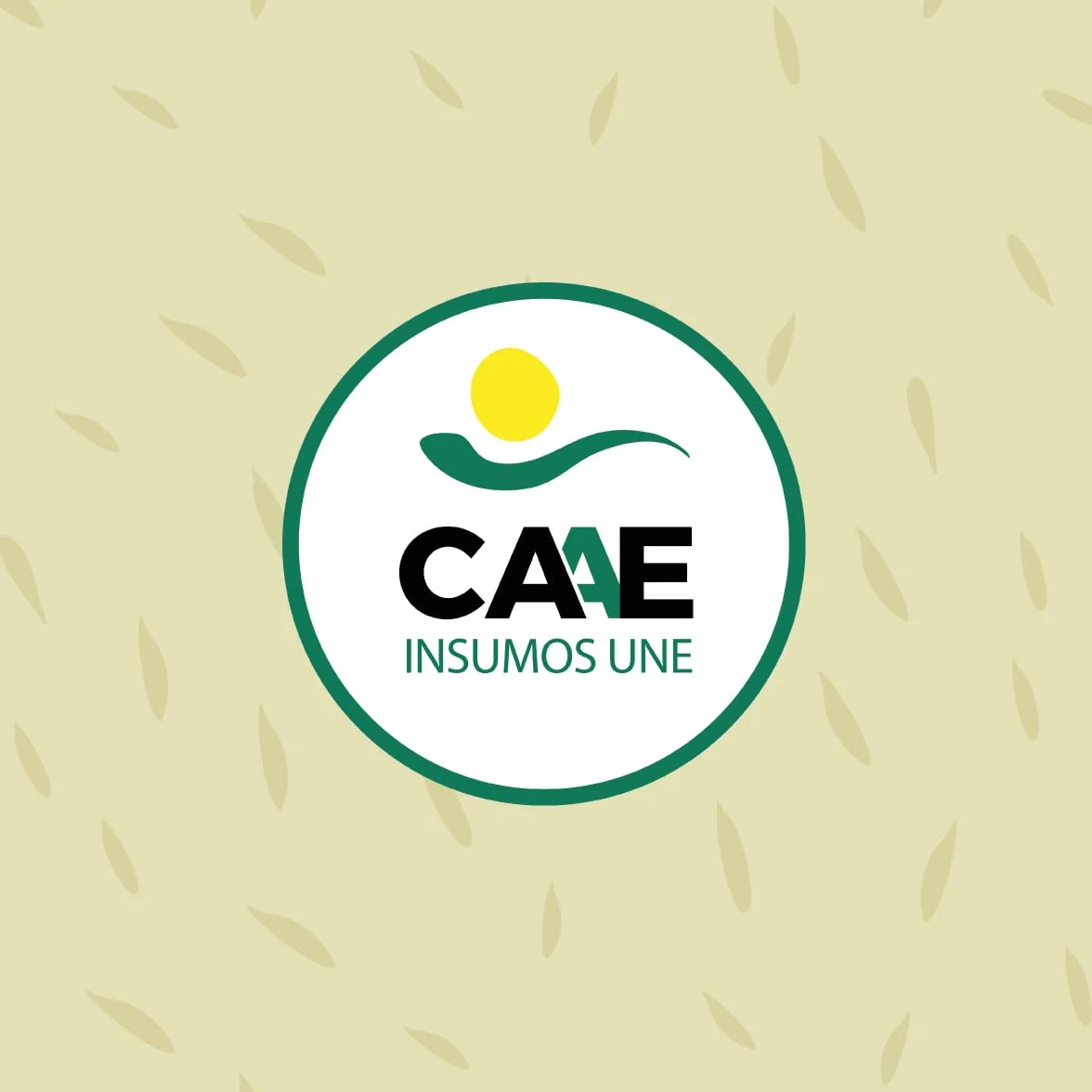 CULTIVERS Engrais Liquide Biologique pour Tomates 10 L. Engrais 100% Biologique Et Naturel, Améliore La Saveur Et La Croissance. Améliorer La Qualité Et La Récolte des Fruits