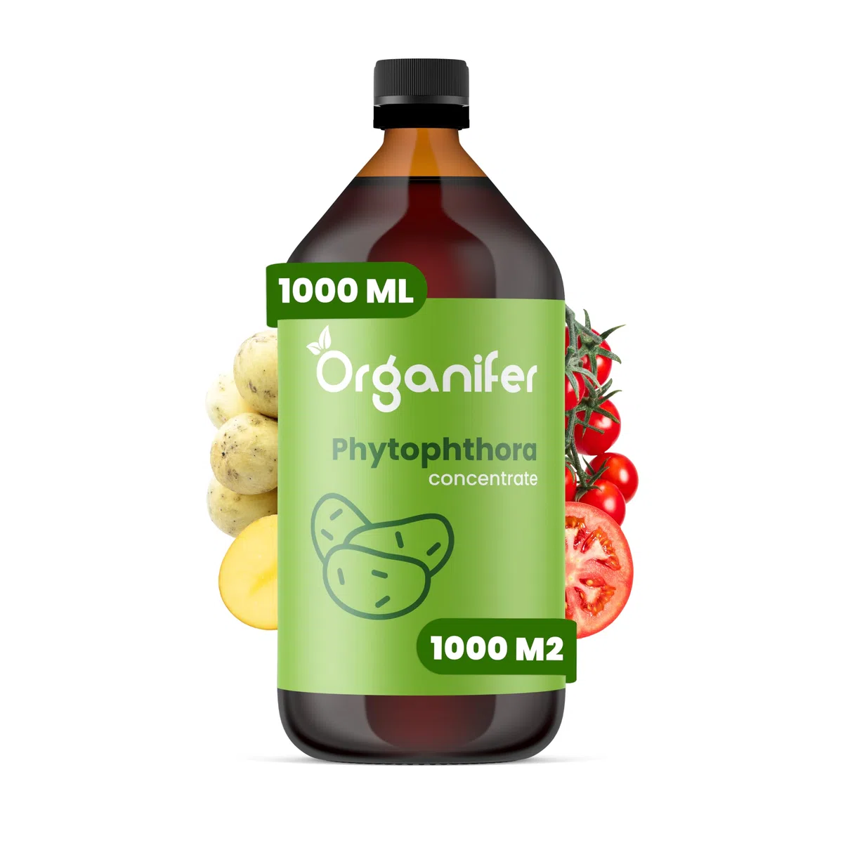 Concentré Phytophthora - 1000 Ml Pour 1000 M2 - Produit Pour Pommes De Terre Et Tomates - Entretien Des Plantes - Engrais Végétal - Organifer