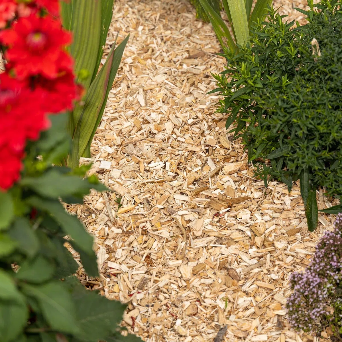 BooGardi Copeaux de bois grossiers de 27/76/100 litres - 76 l - Protection contre les mauvaises herbes - Couverture de parterre - Conception naturelle du sol