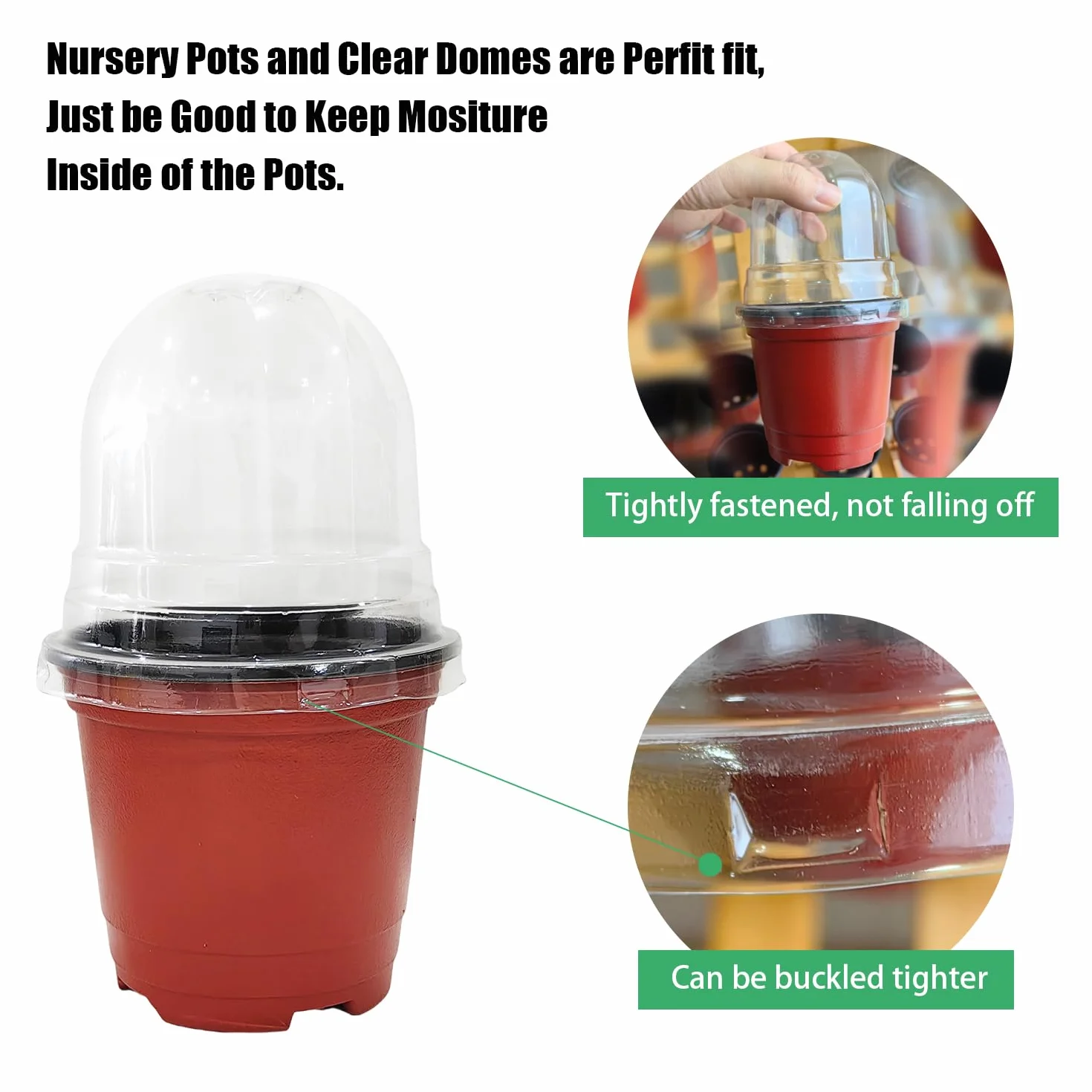 Lot de 50 dômes Transparents pour Pots de Fleurs 10,2 cm Jardinage intérieur extérieur