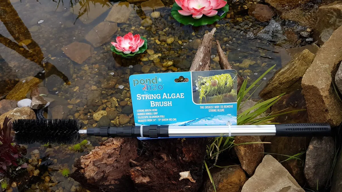 Koi étang d'algues Brosse de nettoyage avec 177,8 cm Manche télescopique, pour les zones difficiles à atteindre
