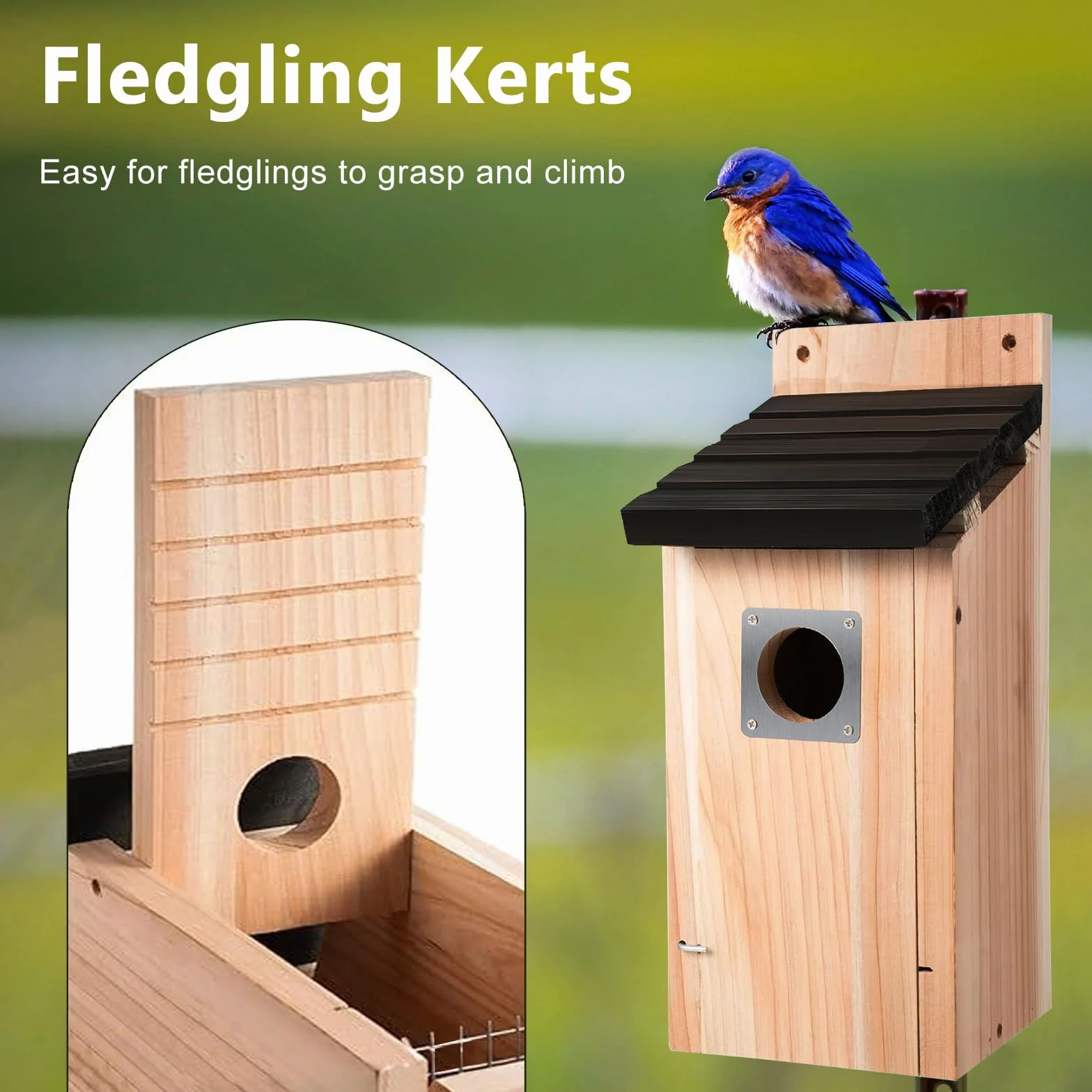 Nichoir pour oiseaux extérieur en bois résistant aux intempéries avec protection rapaces