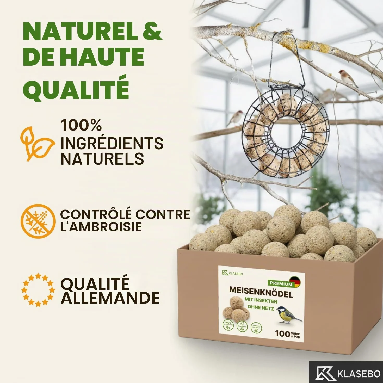 KLASEBO Boules de Graisse Oiseaux Premium avec Insectes 100 x 90 g