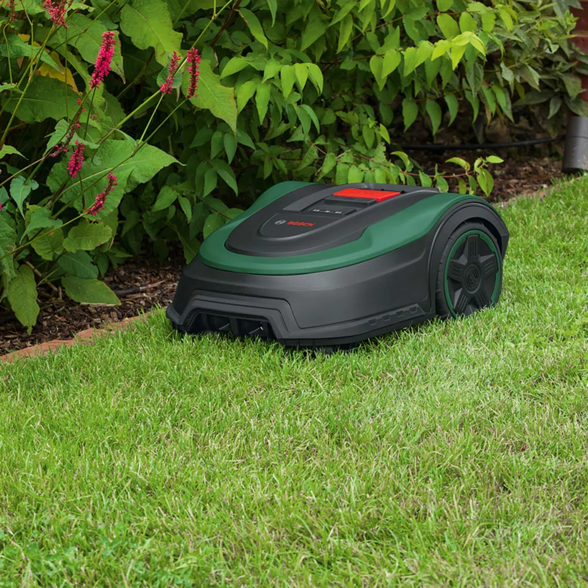 Bosch Tondeuse Robot - Indego S+ 500 (avec Batterie 18 V et Fonction Application, Station de Charge Incluse, Largeur de Coupe de 19 cm, capacité de Tonte maximale de 500 m²)
