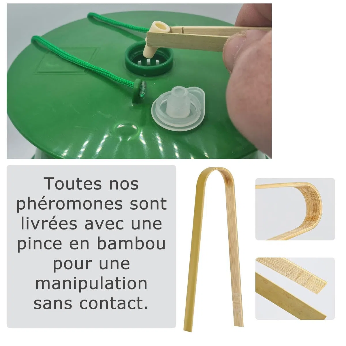 SOLUPHERO - 12 Phéromones Mineuse Marronnier Bio - Efficacité par Capsule de 4 à 6 Semaines - Phéromone Écologique de Contrôle de Cameraria Ohridella