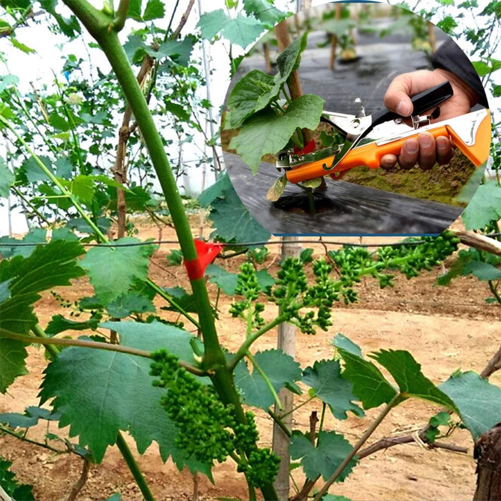 Machine À Taper Nouer Branches, Outil Agriculture Manuelle pour Attaches Plantes, pour Jardin Fruits Légumes Fleurs Tomates Vigne, Outil de Jardinage À Attacher Branche - Plant Tape Tying Tool