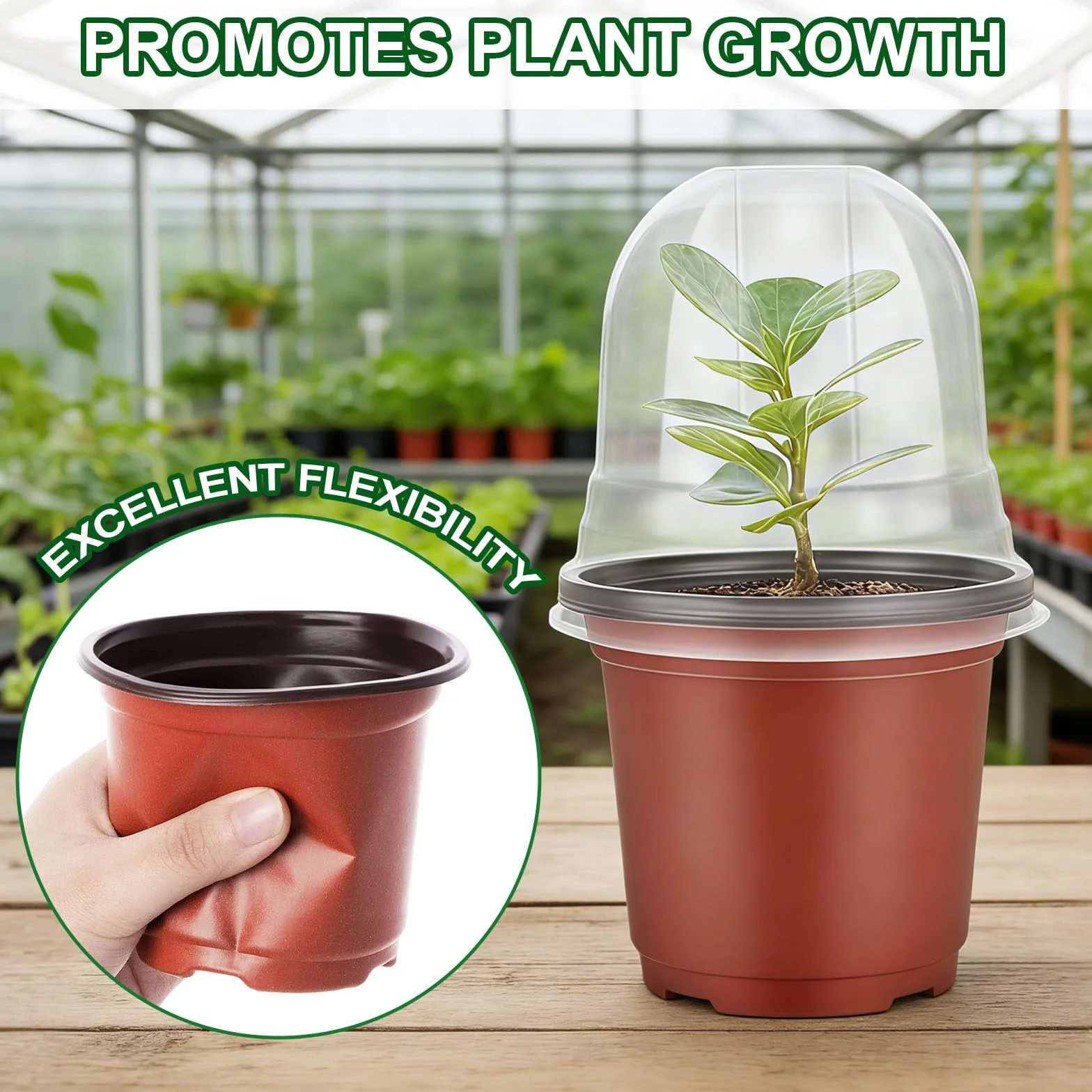 Godet Semis de Fleurs en Plastique 10 cm avec Dôme d'humidité 32 Pièces pour Jardin Intérieur Extérieur