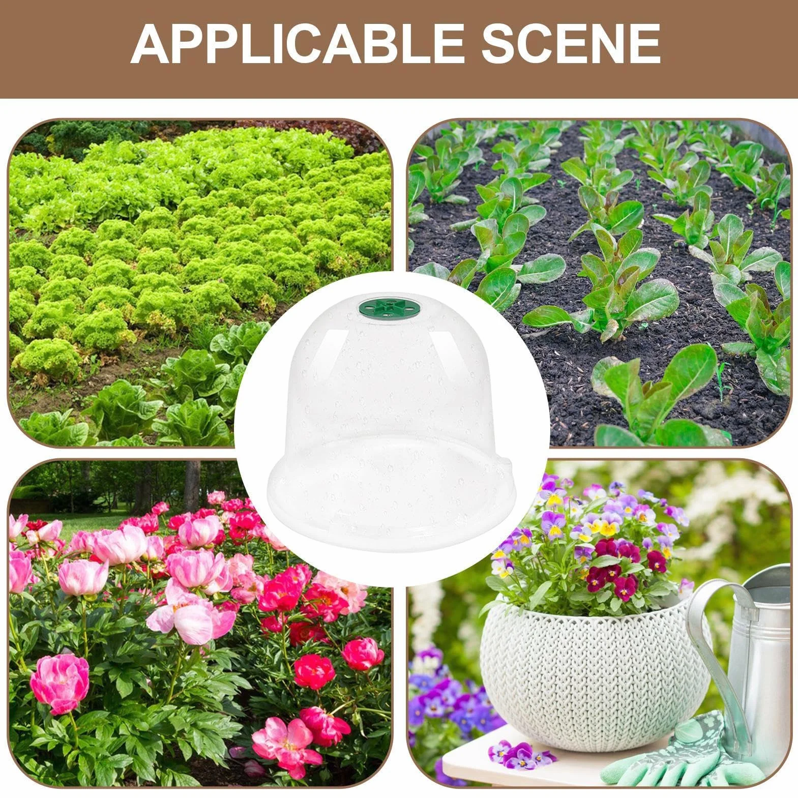 Cloches de Jardin en Plastique Lot de 10 - Dôme d'Humidité Protection Contre le Gel