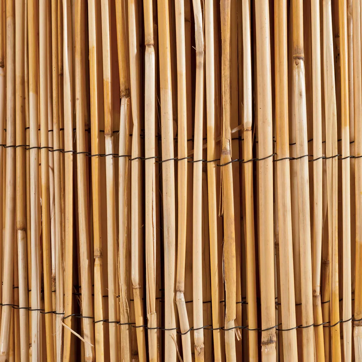 WERKA PRO Canisse en Roseau Naturel 1,8 x 5 m