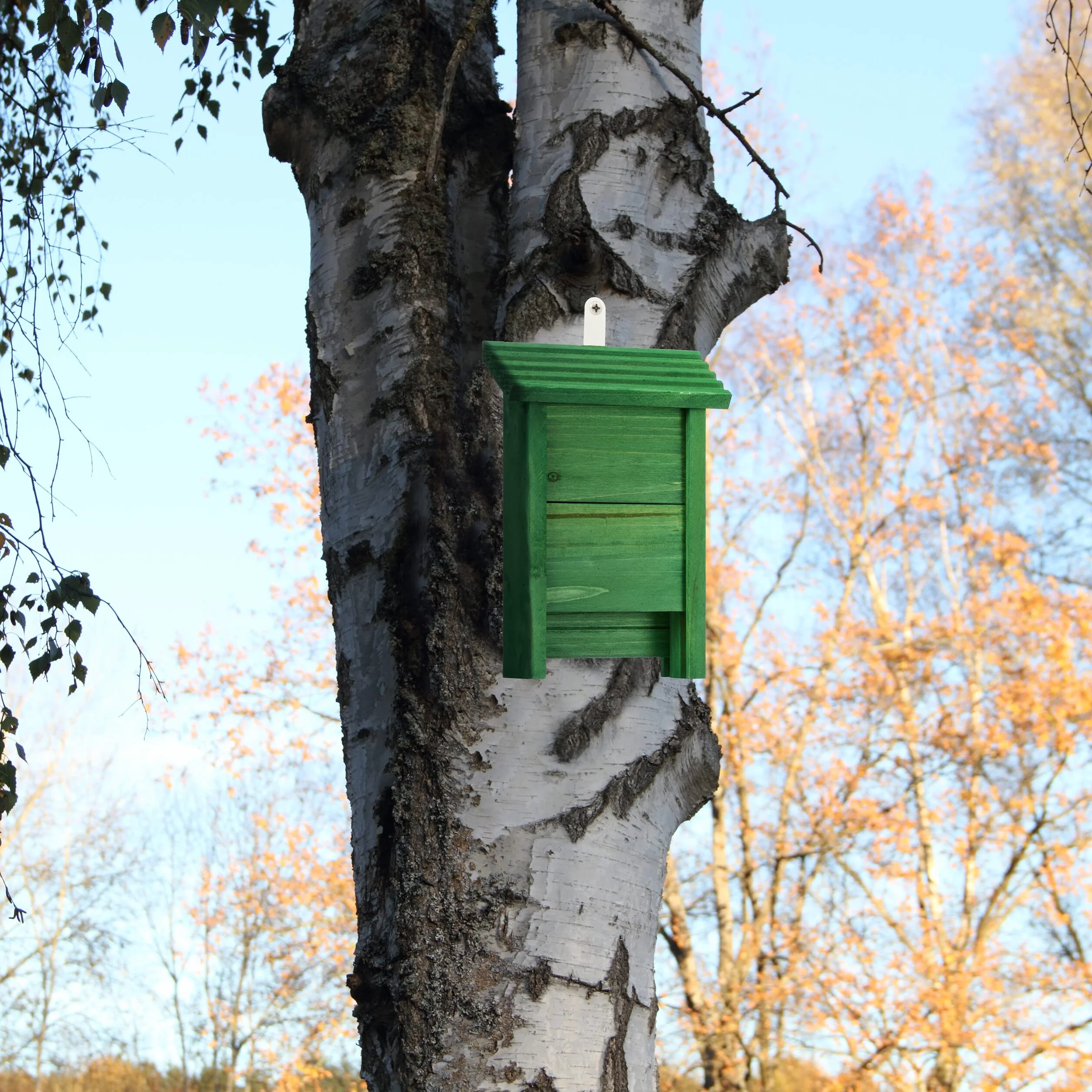 Relaxdays Abri à Chauves-Souris, Nichoir Bois 29x18x6 cm Vert