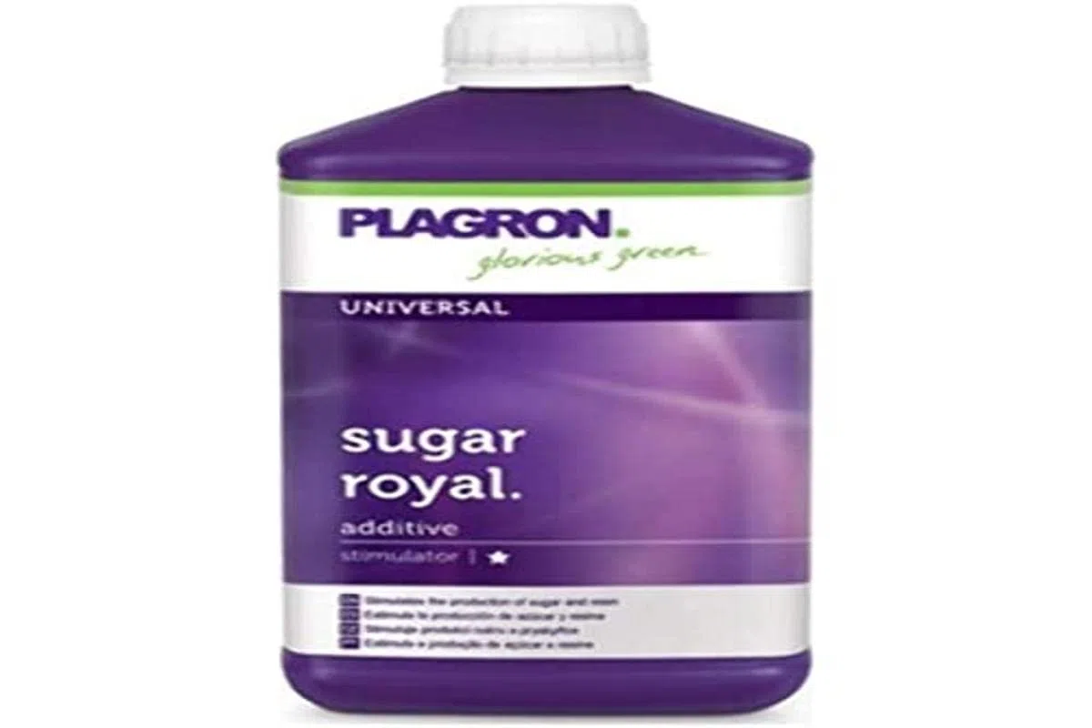 Plagron « Sugar Royal 250 ML », 250 ML