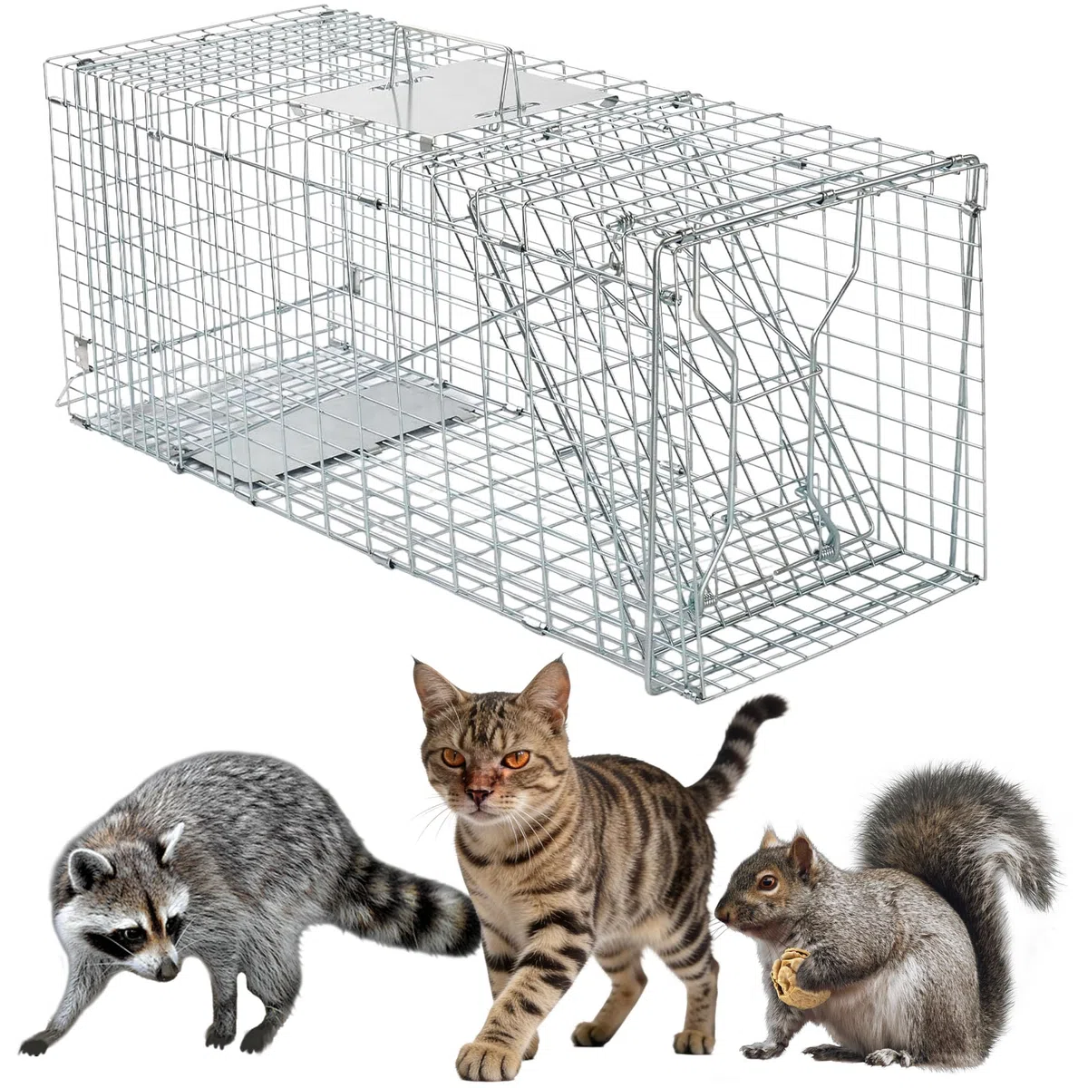Pièges à Chat - Piège Animalier Vivant - Piège de Capture Animaux sans Cruauté, Pliable, Grand piège à martre pour Chat, Renard, Rat - 79x33x28 cm
