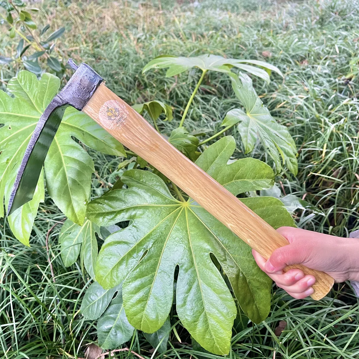 Binette de style japonais robuste de 35,6 cm, sans soudure, outil de jardinage, manche en chêne, pour creuser, désherber et planter
