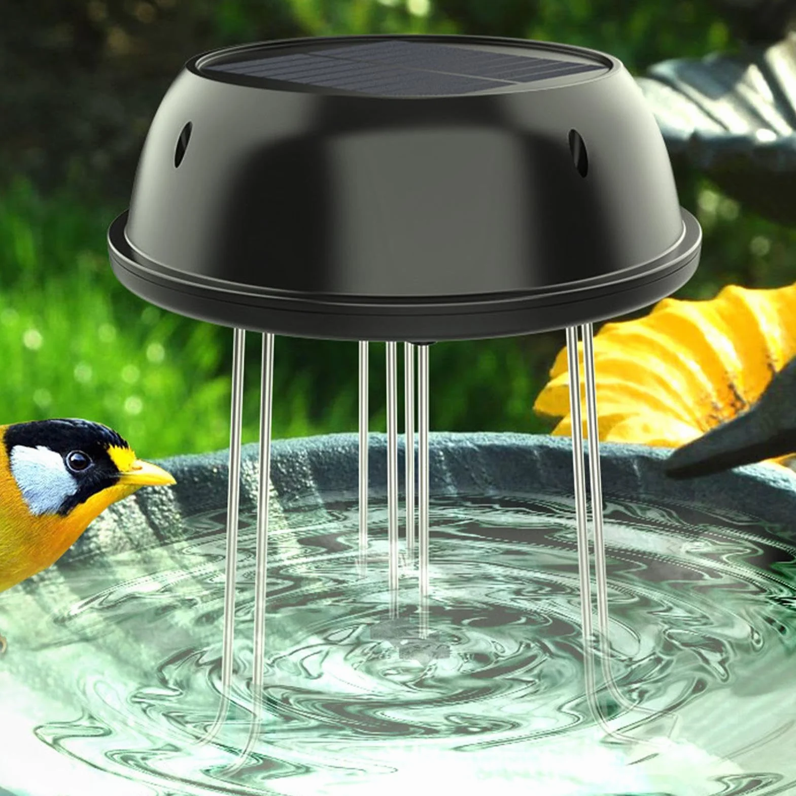 Pompe solaire pour bain d'oiseaux 0,5 W – Fontaines de jardin, système de circulation