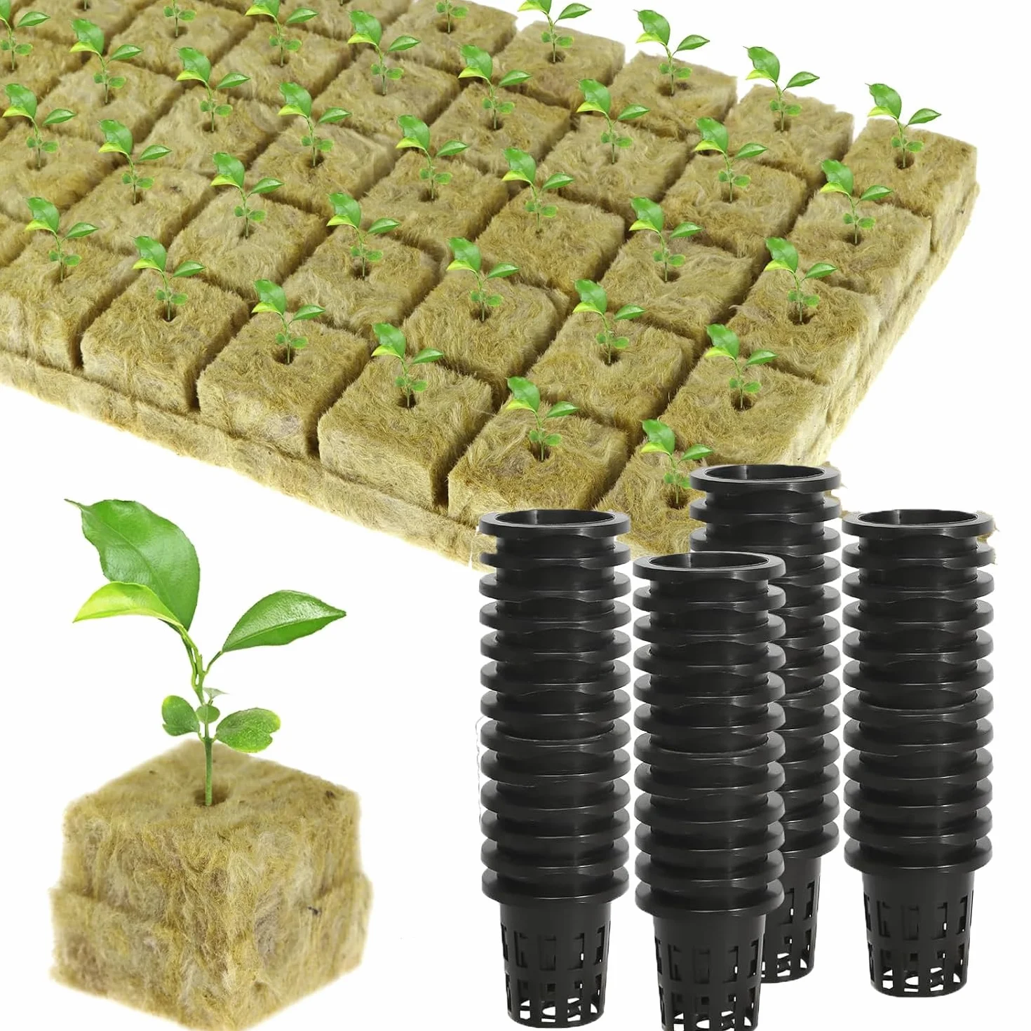 Kit de Culture Hydroponique Intérieur, 50 Cubes en Laine de Roche avec Pots, pour Semis Transplantation