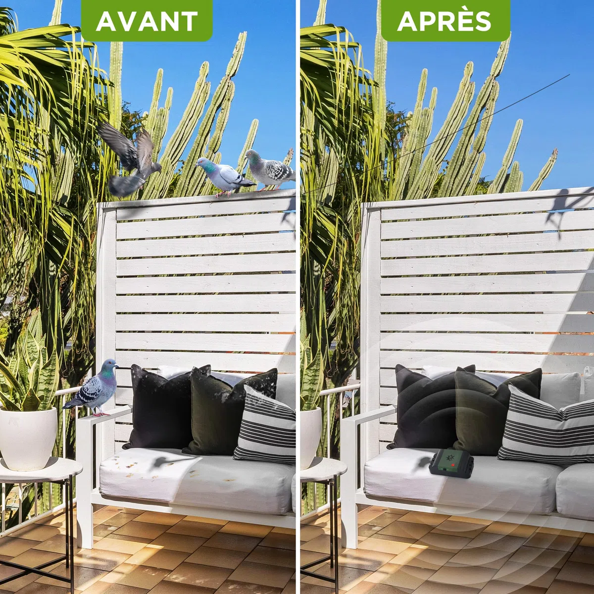 ISOTRONIC Répulsif ultrasons Oiseaux et Pigeons – À Piles pour Balcon, Toit et Jardin – Éloigne moineaux, goélands et Corbeaux – Portée 40 m² – Lot de 2 unités pour Une Protection Efficace et Mobile