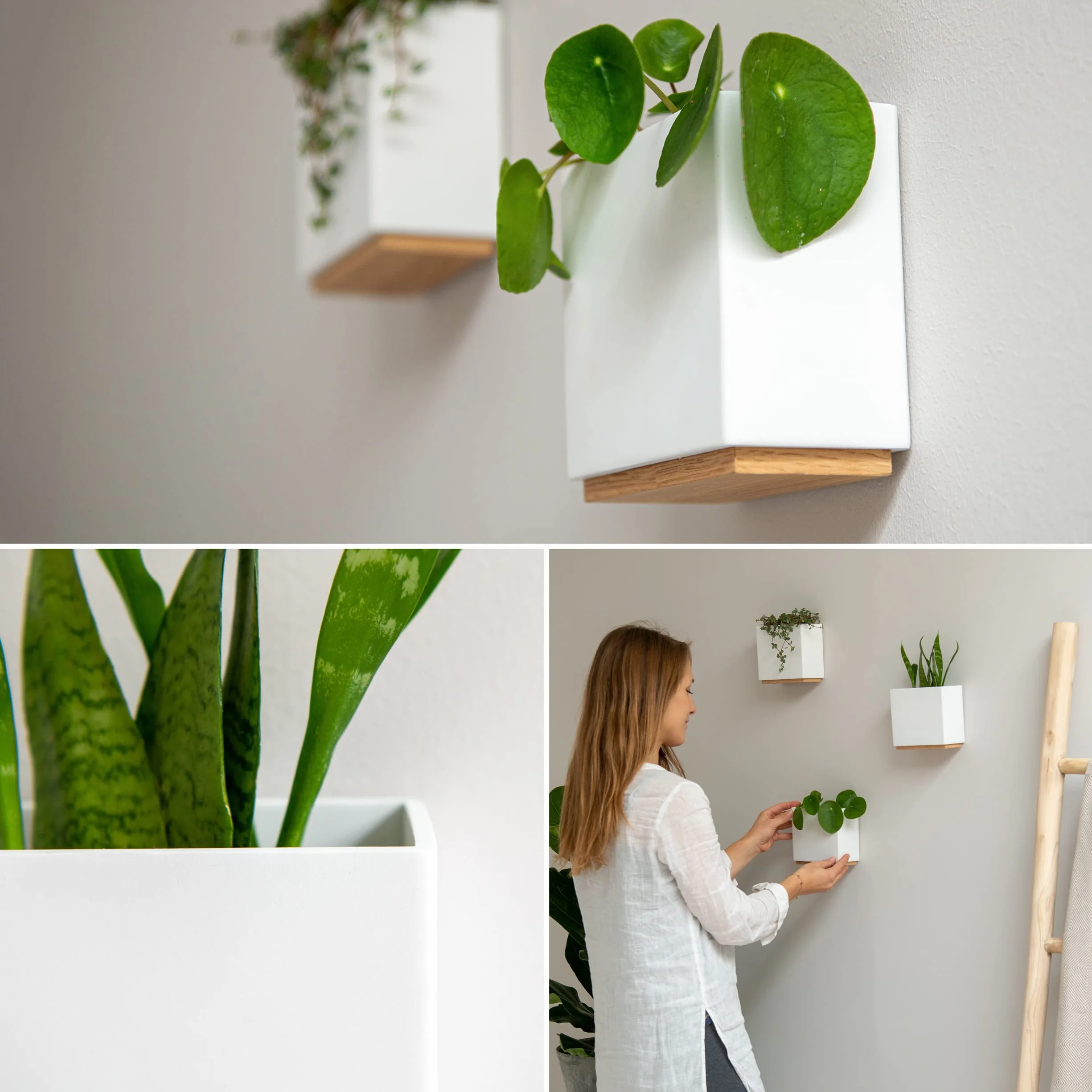 Kazai. Jardinières Murales -Alma- | 3 Pots de Fleurs Suspendus Modernes en Résine | Ensemble de Porte-Plantes pour Plantes d'intérieur, Plantes artificielles et Plus | Blanc