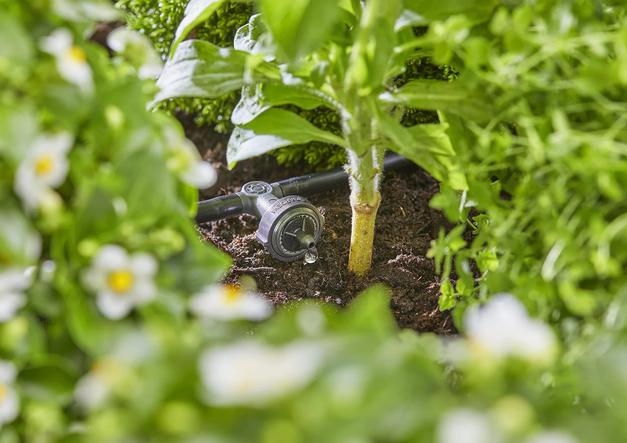 Gardena Start Set for Raised Beds/Beds (35 Plants)
