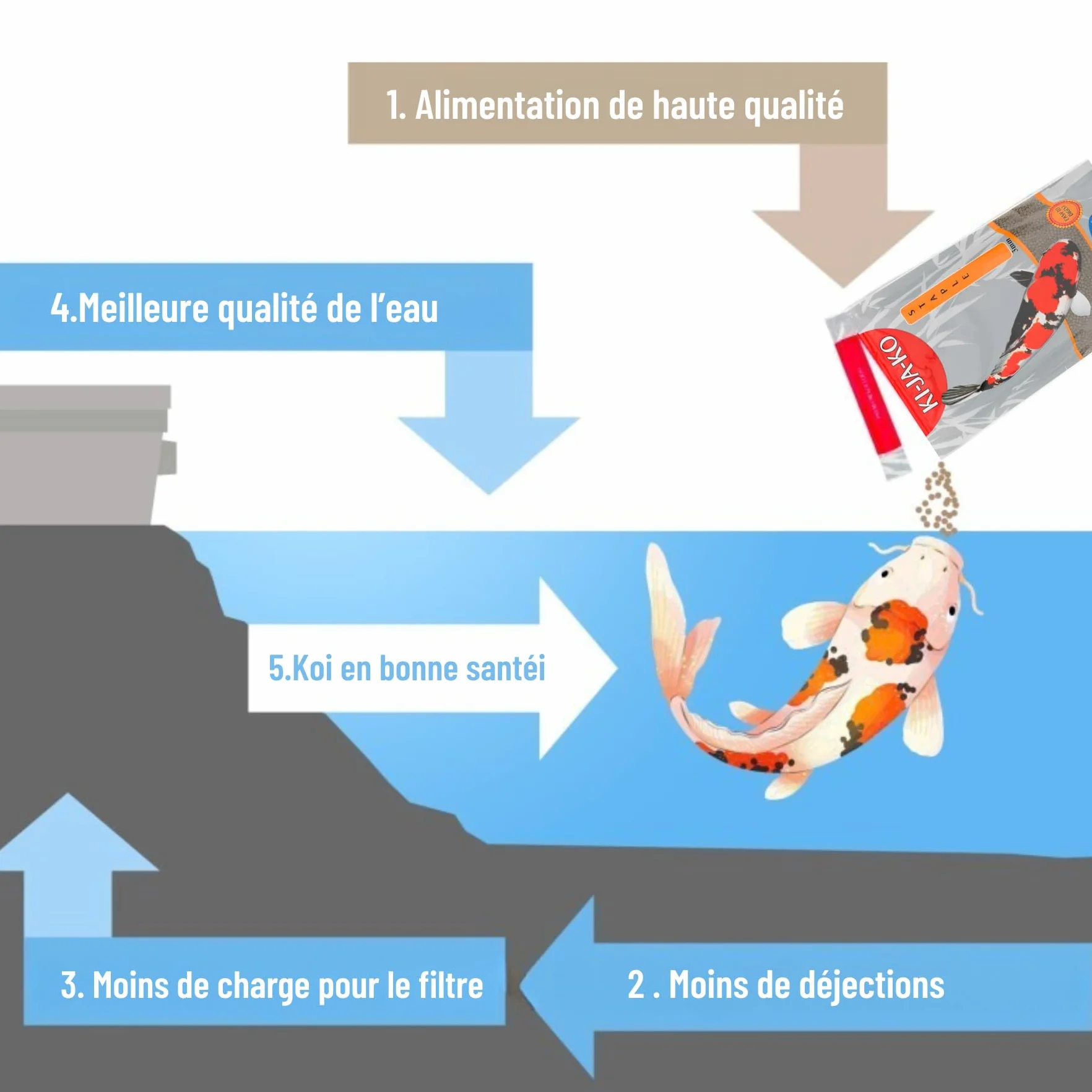 KI-JA-KO Staple Nourriture pour carpes koï 1 kg 6 mm Pellets flottants