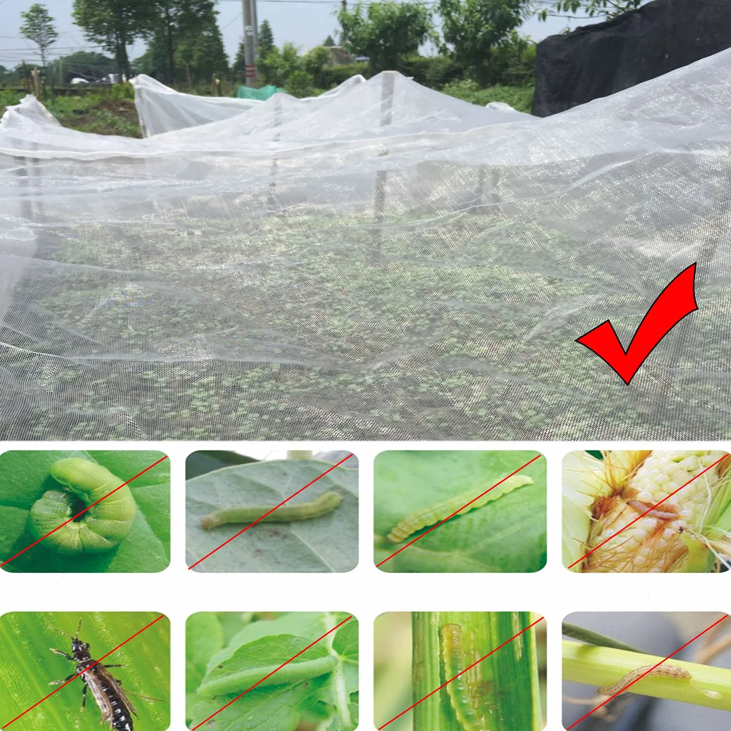 Filet Anti Insecte 3m x 10m Maille Fine Protection Plantes Jardin Potager