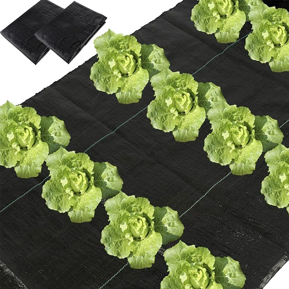Lot de 2 barrières de Jardin en Tissu d'aménagement paysager avec Trous de Plantation - 0,9 x 3,9 m - Très résistantes - pour Le contrôle de l'érosion du Sol - Stabilisées aux UV (2 Pack)