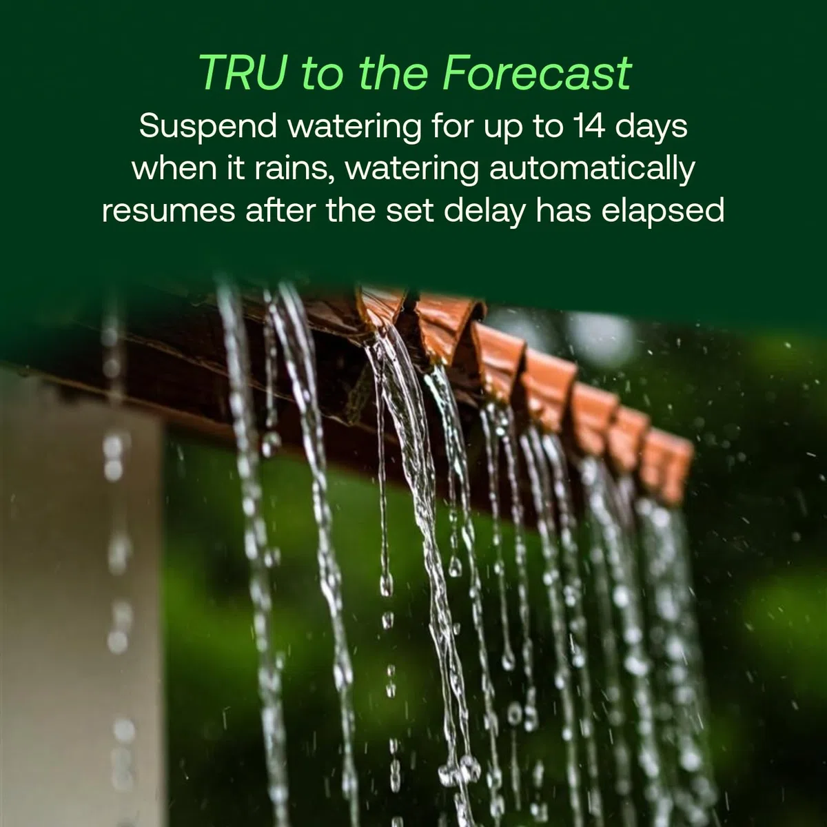 Rain Bird TRU6I Contrôleur/minuteur d'irrigation d'intérieur basé sur programme, compatible WiFi, 6 zones/station