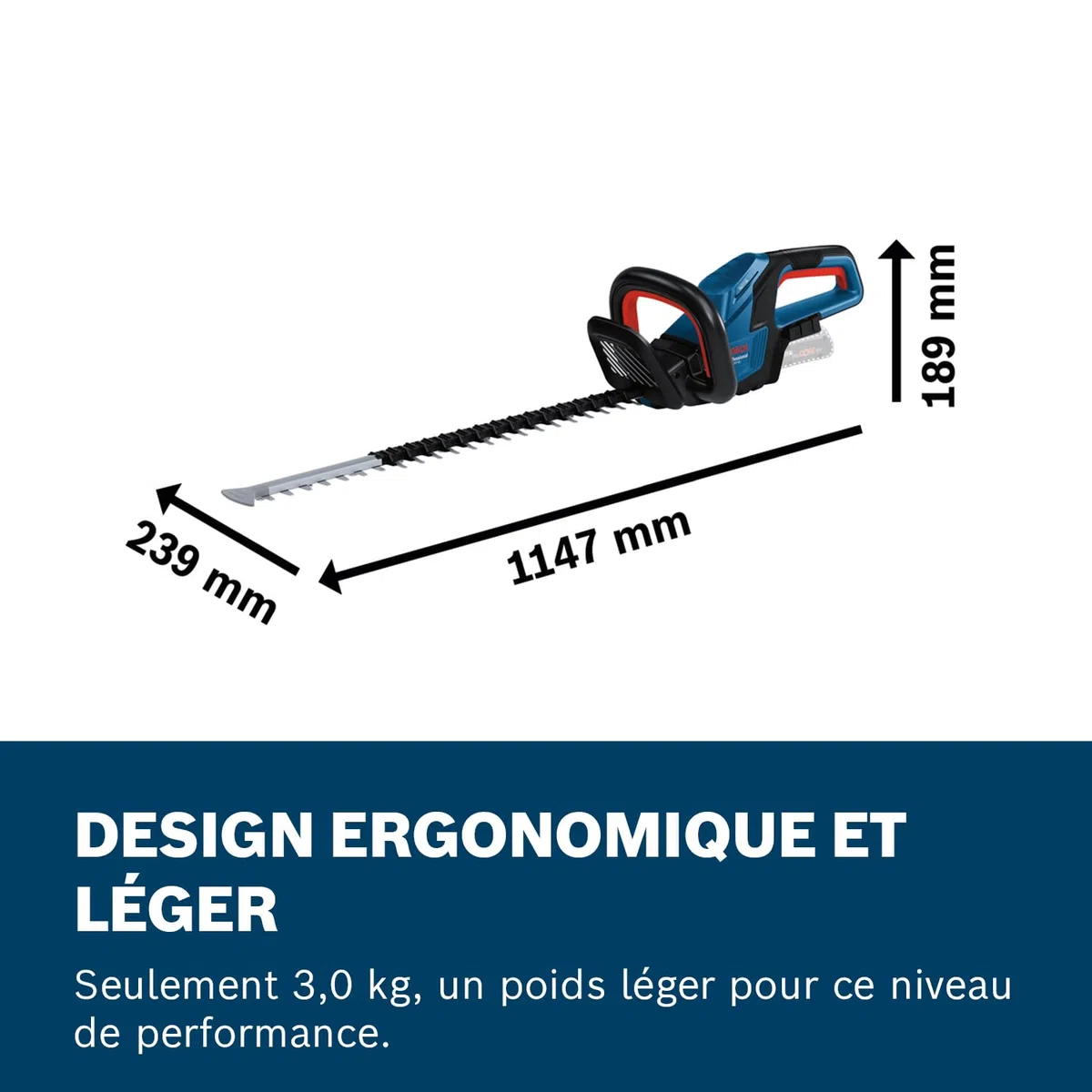 Taille haie 18V GHE 18V 60 Professional (sans batterie ni chargeur) BOSCH 06008C9000