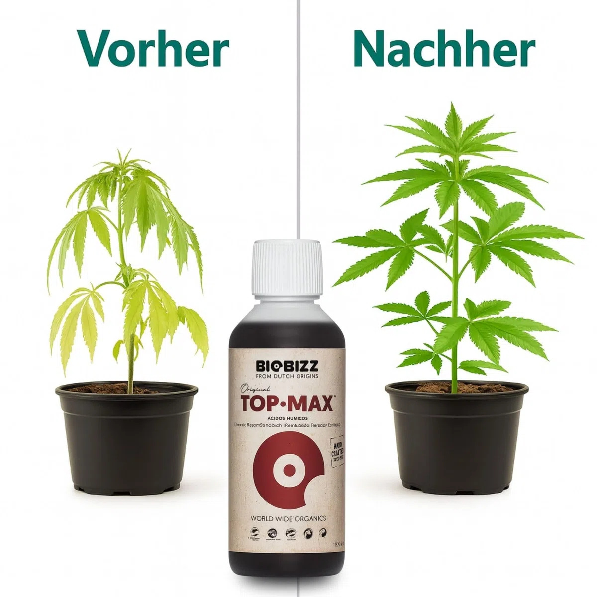 Weedness BioBizz Top Max 1 litres - Engrais Naturel Cultures de tomates en intérieur Orchidées liquides Bonsaïs biologiques NPK