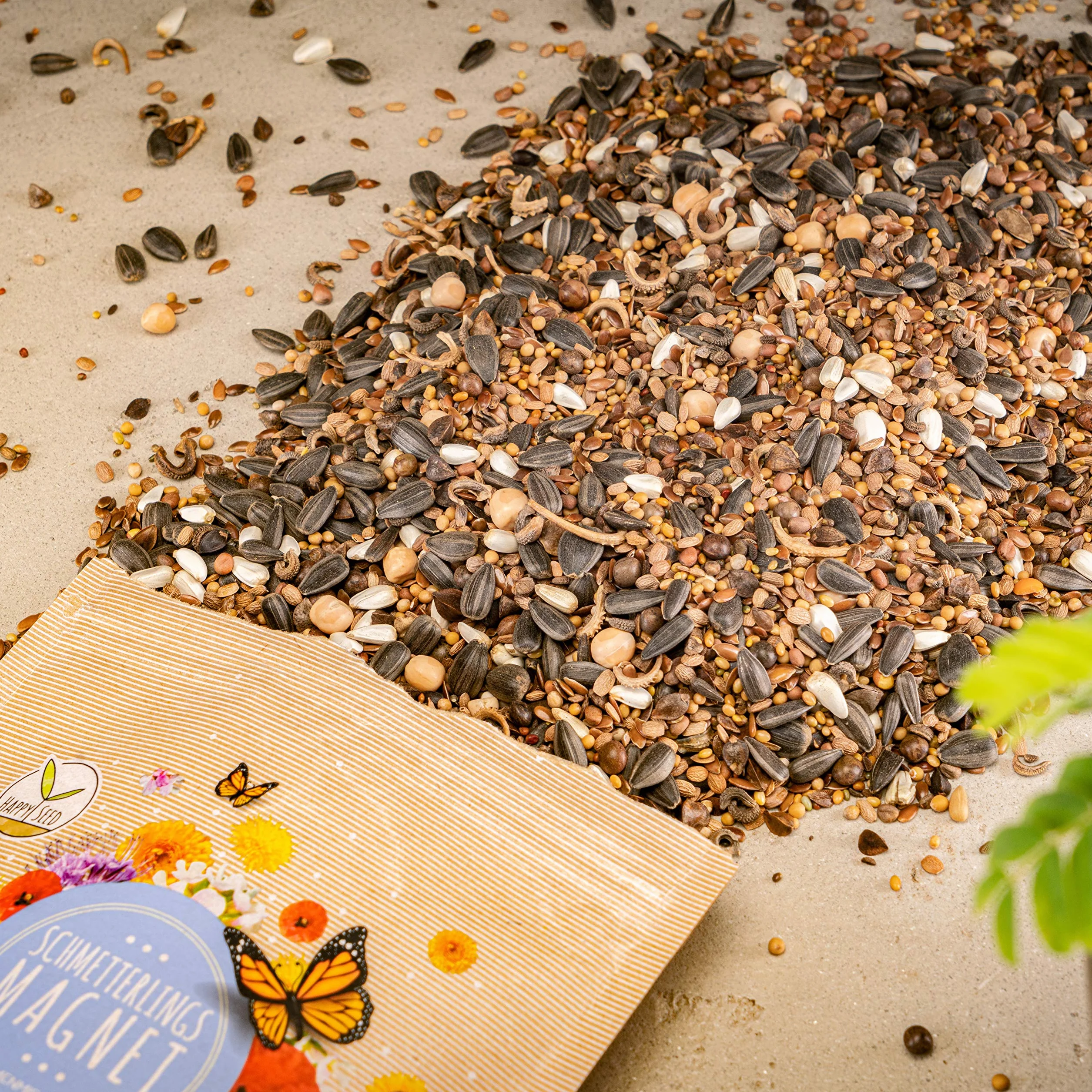 Graines de prairie à papillons 500 g - Mélange de fleurs sauvages riches en nectar