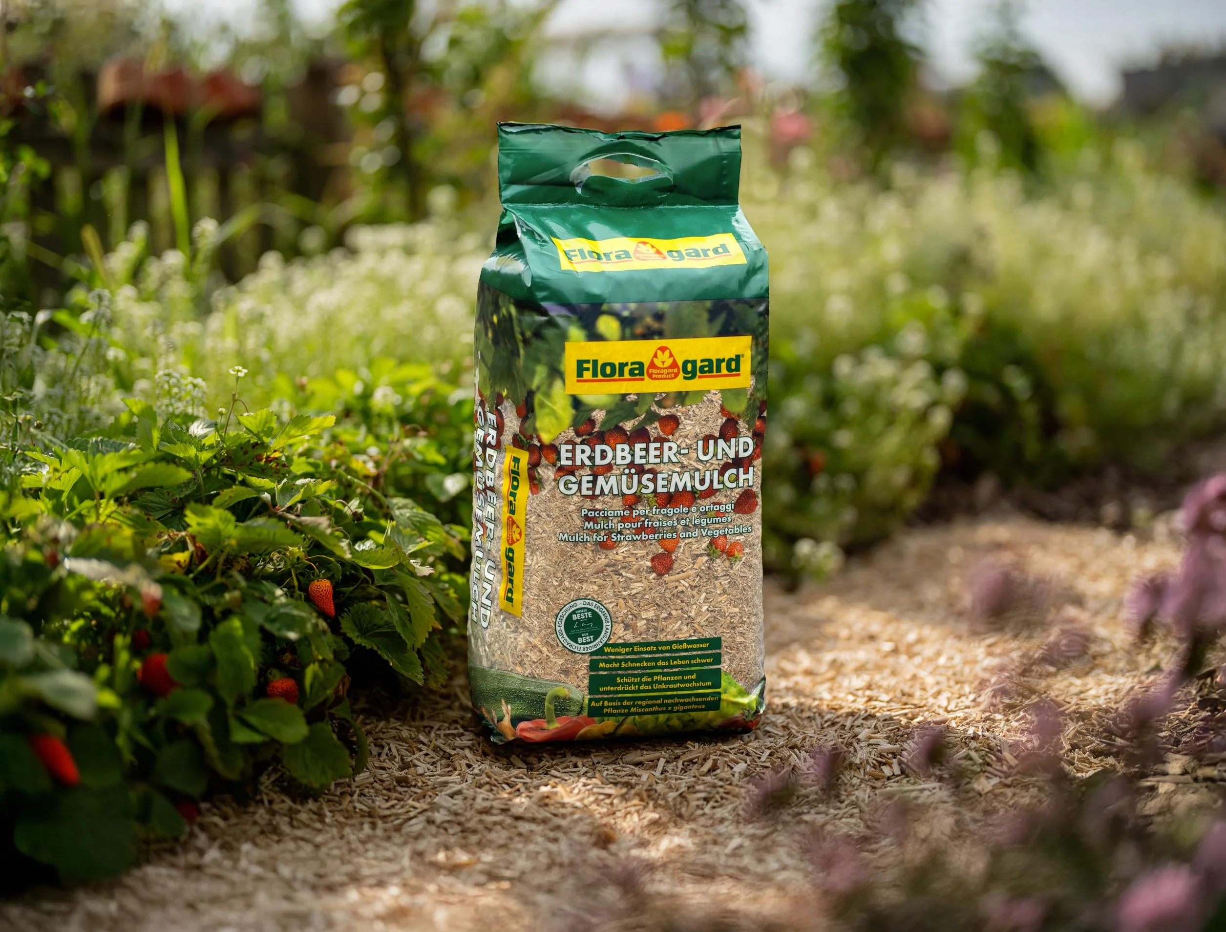 Floragard Paillis pour Fraises et Légumes 2x20L Miscanthus sans Pesticides
