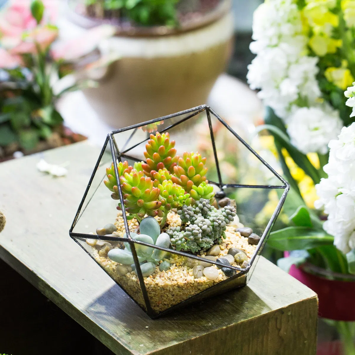NCYP Géométrique Terrarium en Forme de Demi-sphère Triangulaire en Verre Fait à la Main, Pot de Fleurs pour bonsaï, Table Décoration pour Plantes Grasses (Pas de Plantes)