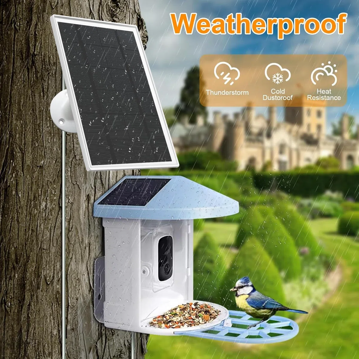 Chargeur de panneau solaire 6 W compatible avec appareil photo Netvue Bird Feeder, câble de 3 m de long, étanche